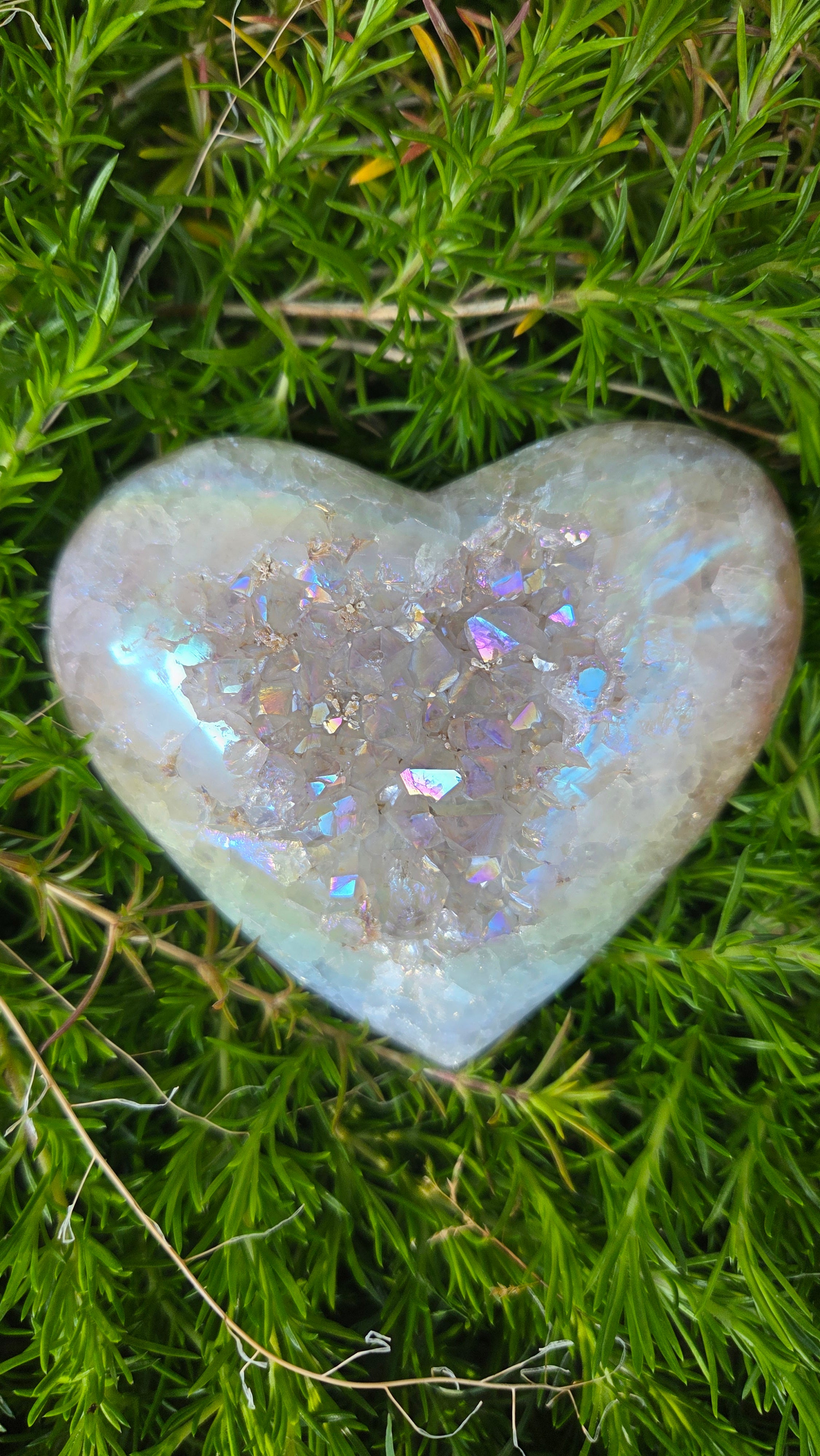 Angel aura hart