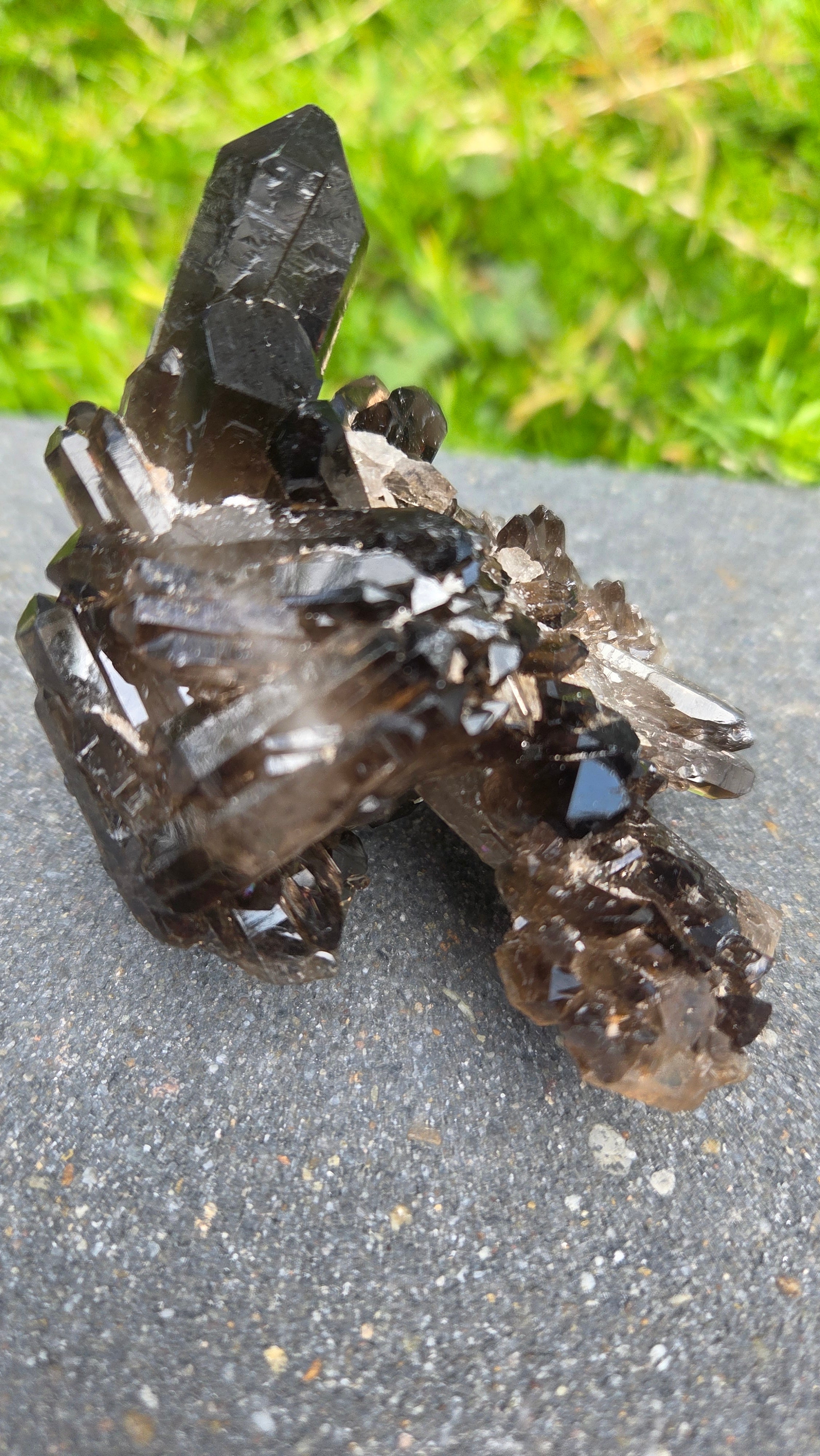 Unieke rookkwarts cluster