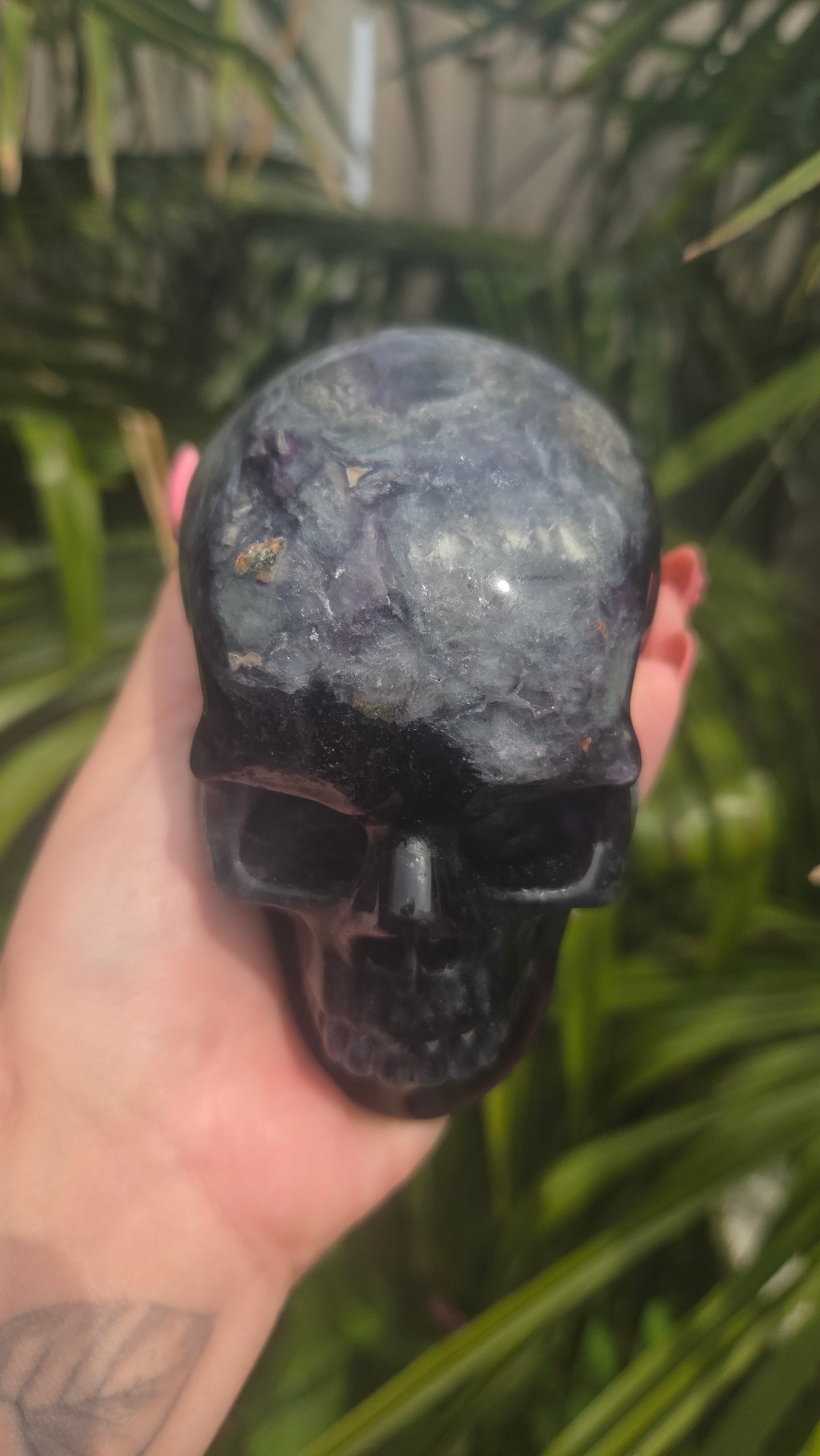 A+ kwaliteit fluoriet skull
