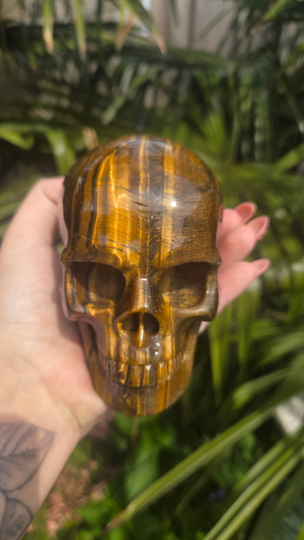 A++ kwaliteit tijgeroog skull