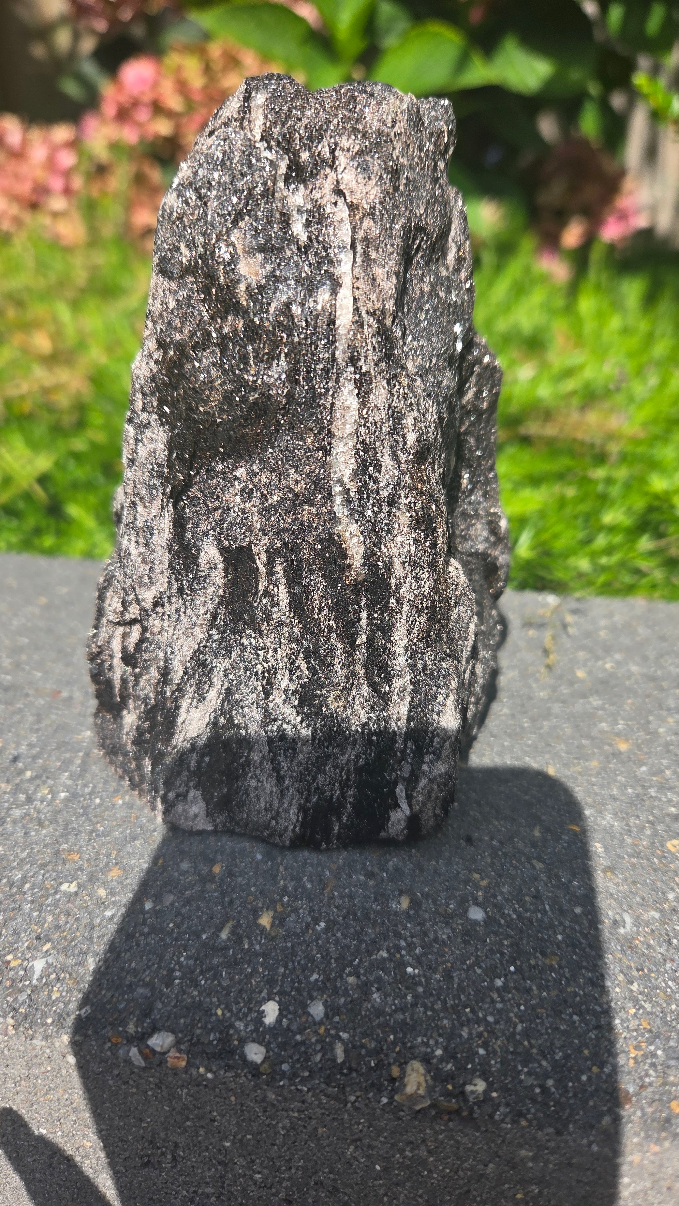 Zwarte mica