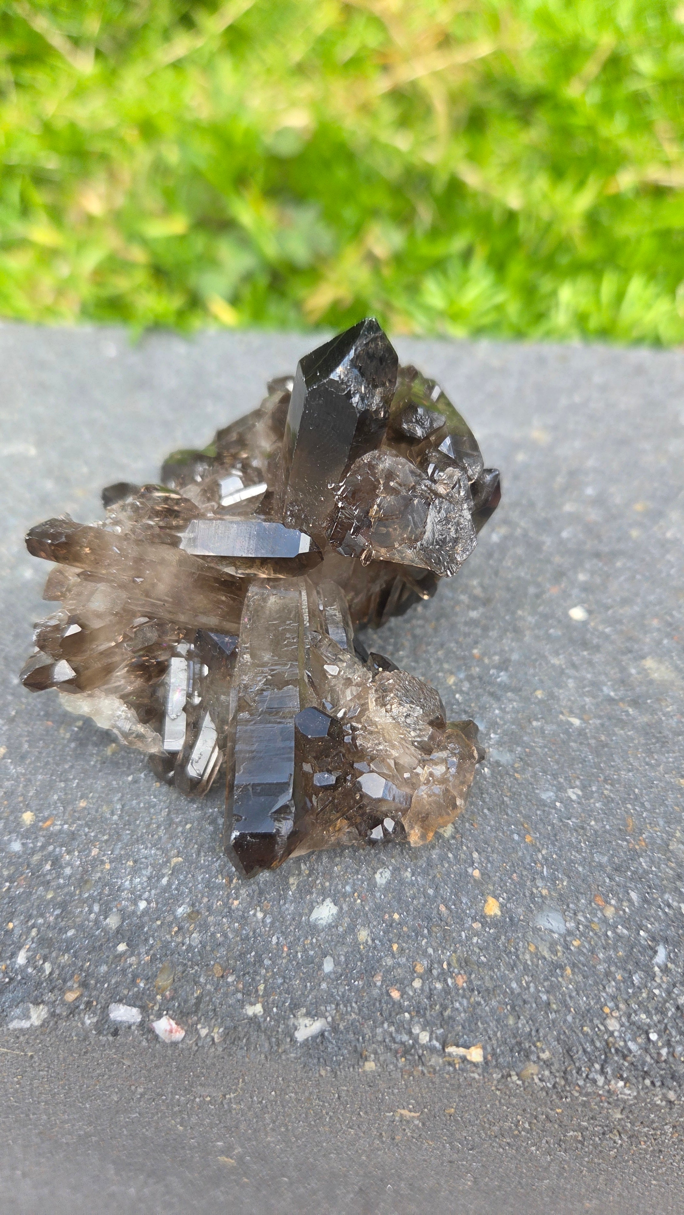 Unieke rookkwarts cluster