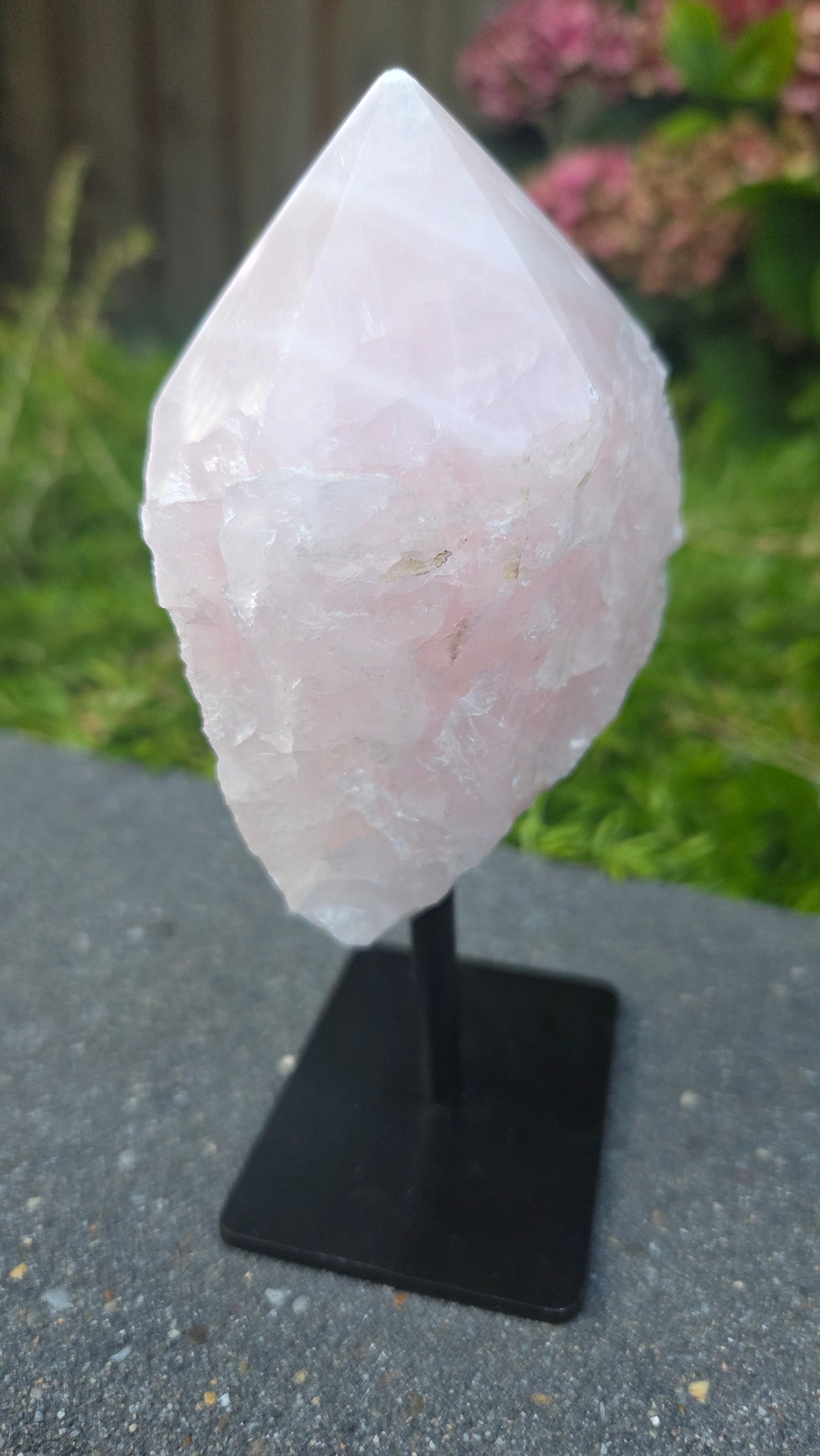 Rozenkwarts op standaard