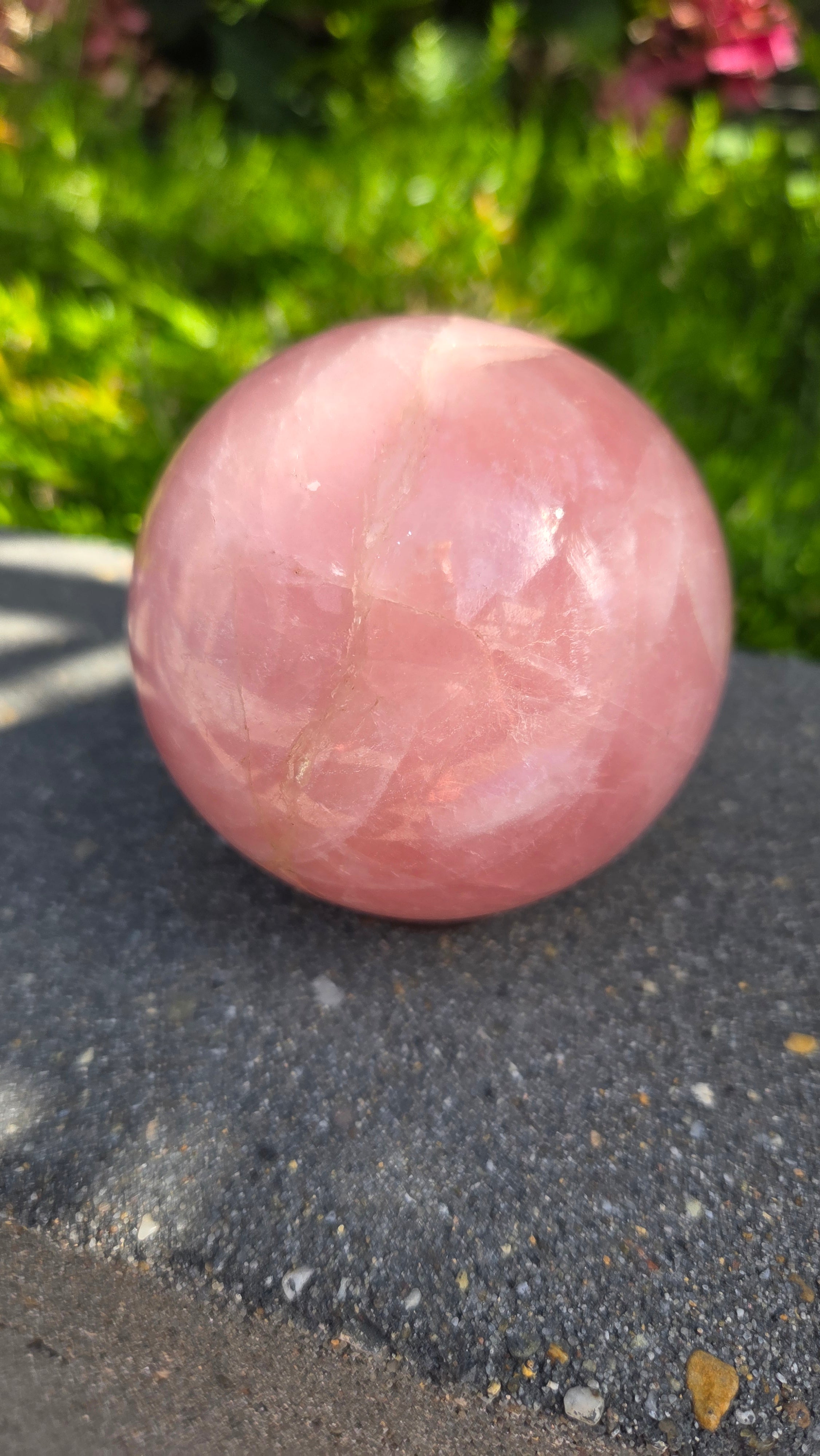 AA rozenkwarts bol