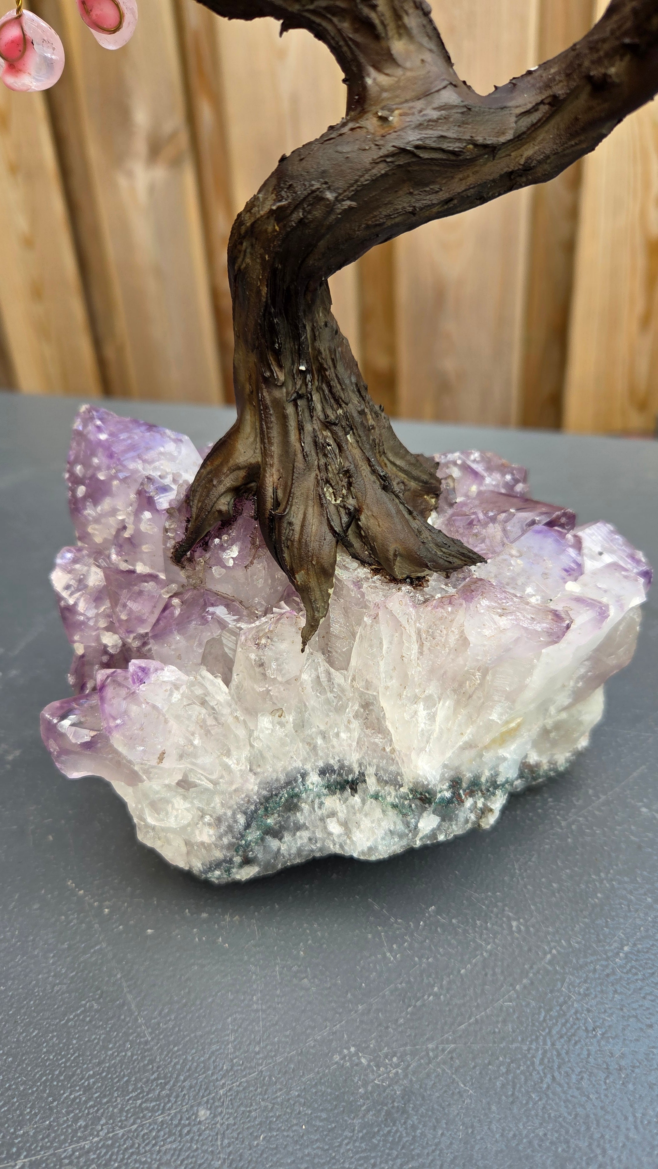 Rozenkwarts boom