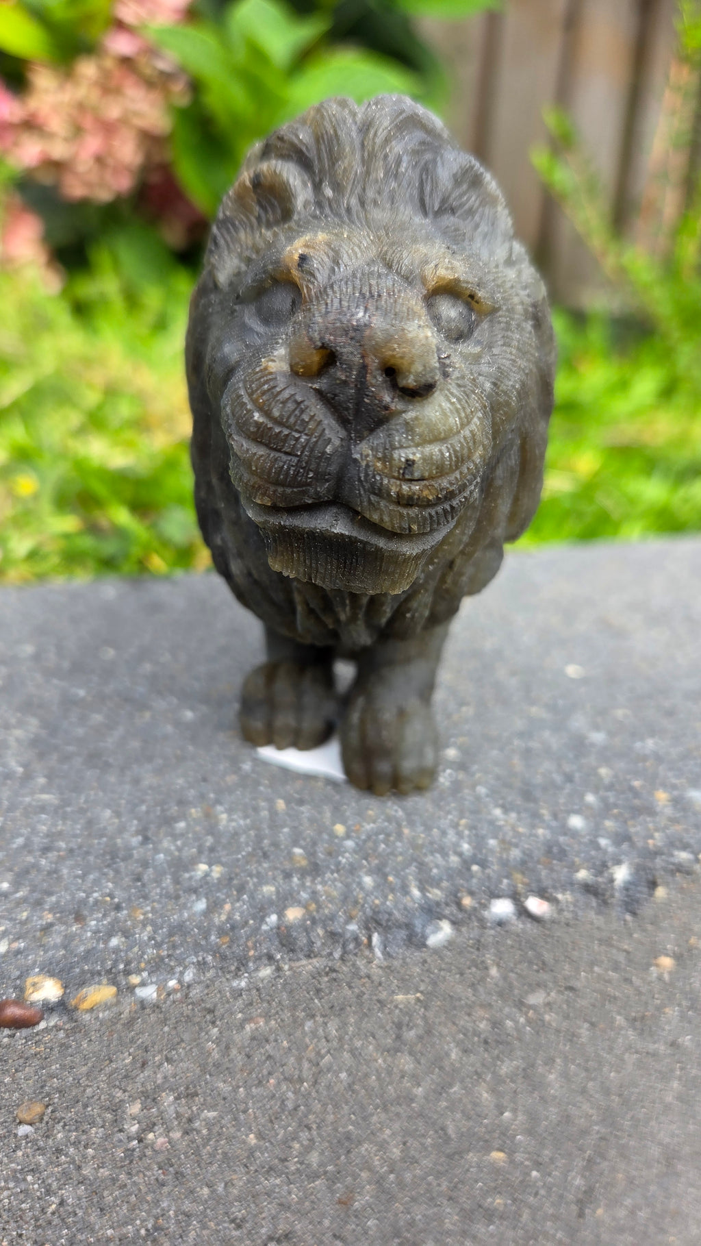 Zeldzame labradoriet carving leeuw