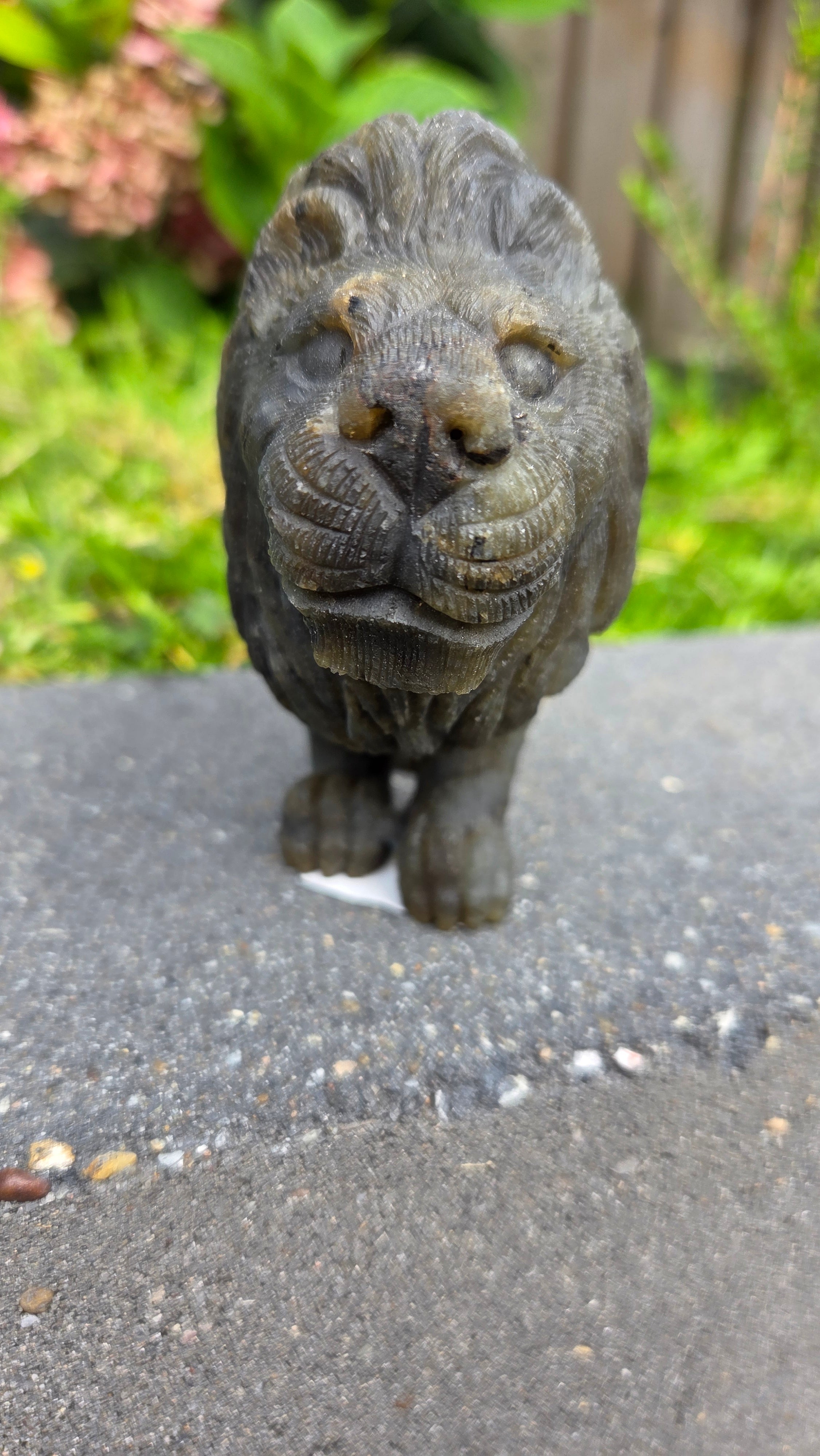 Zeldzame labradoriet carving leeuw