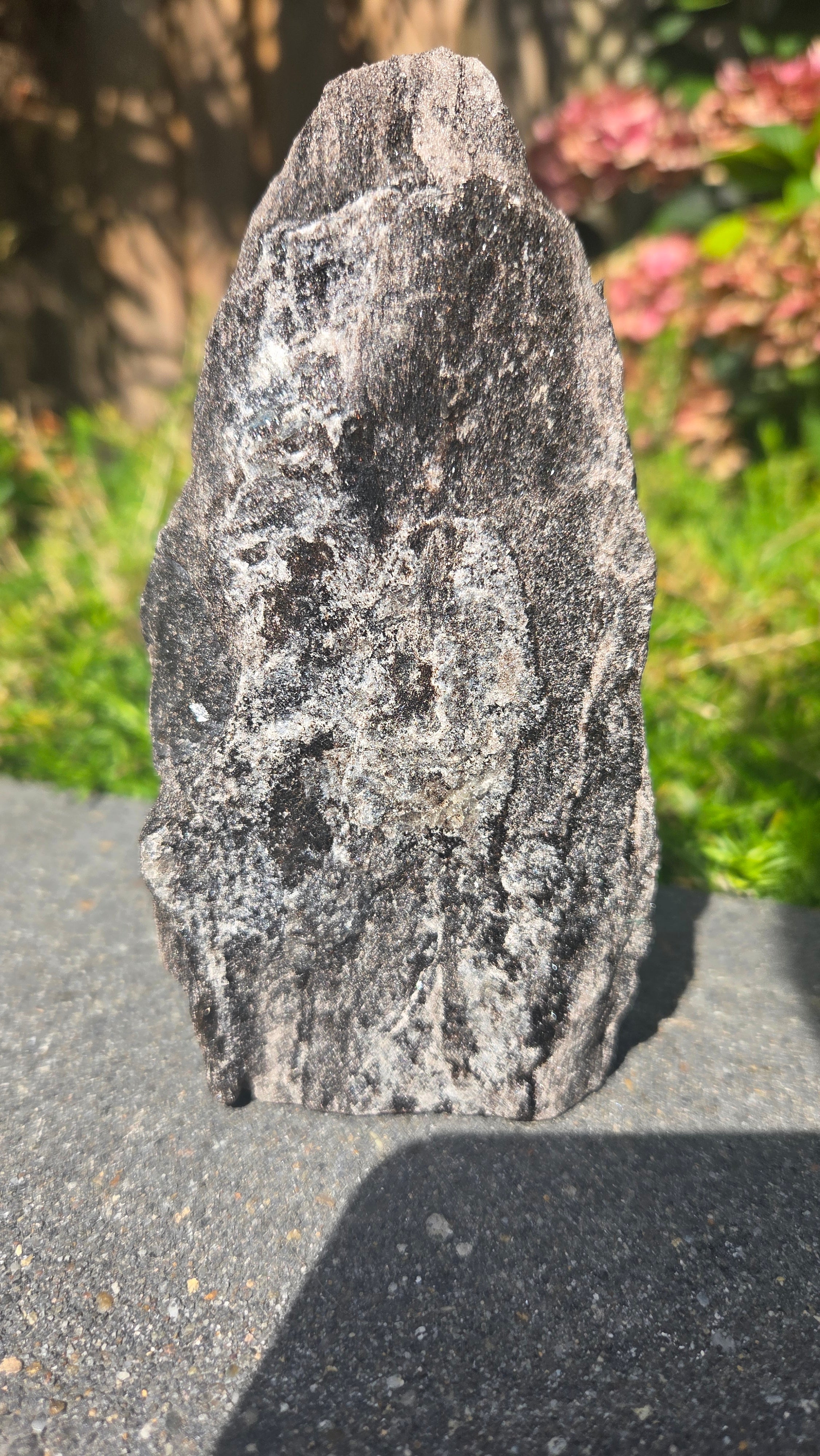 Zwarte mica