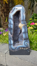 Prachtige amethist geode Brazilië