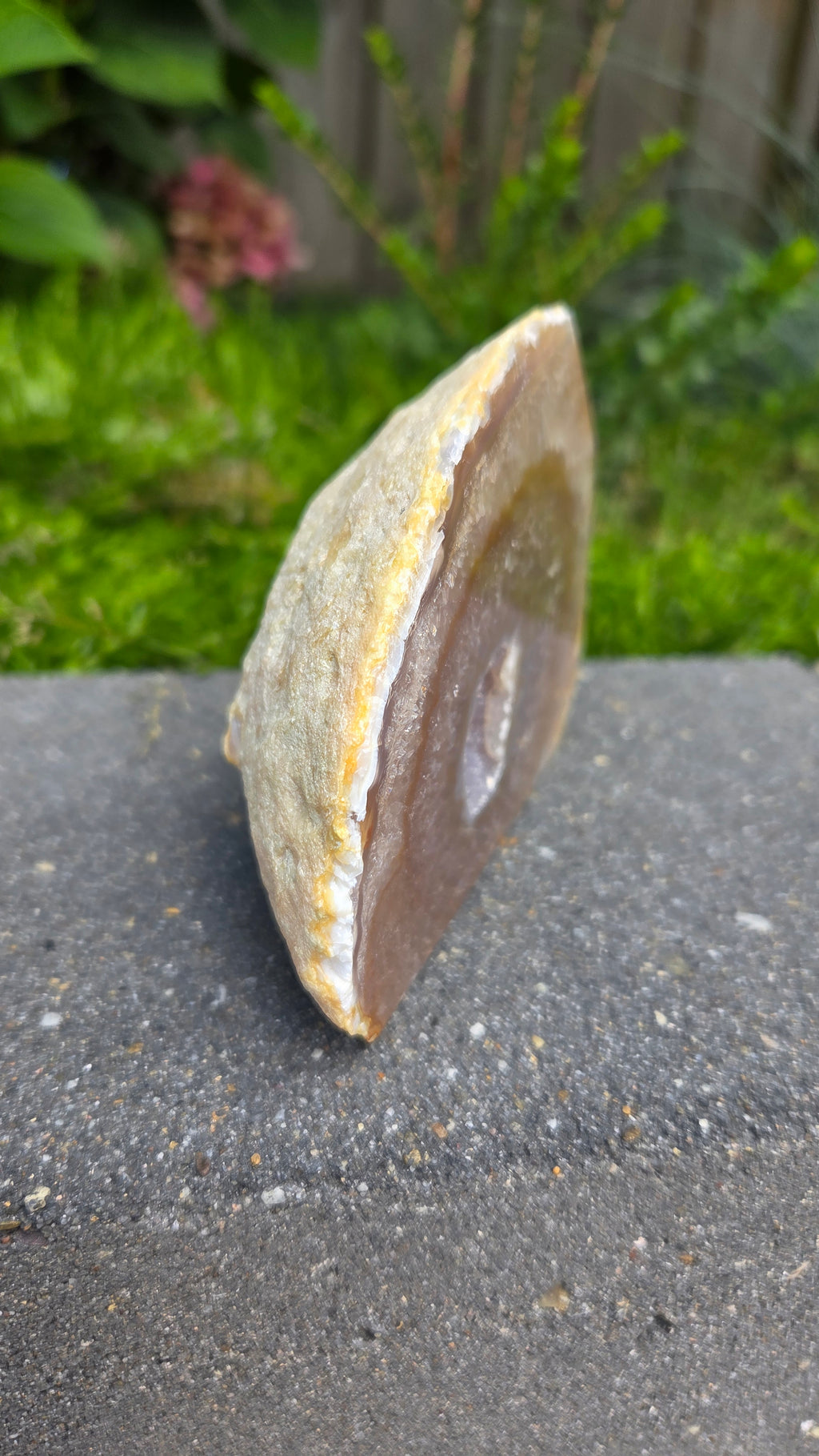 Agaat geode cutbase