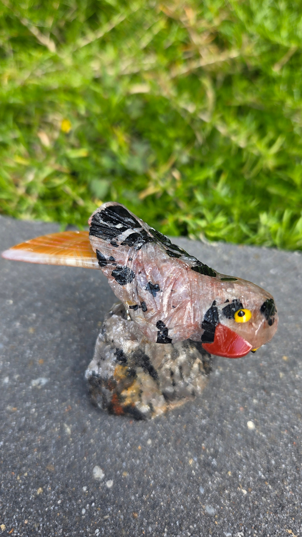Toermalijn in kwarts vogeltje