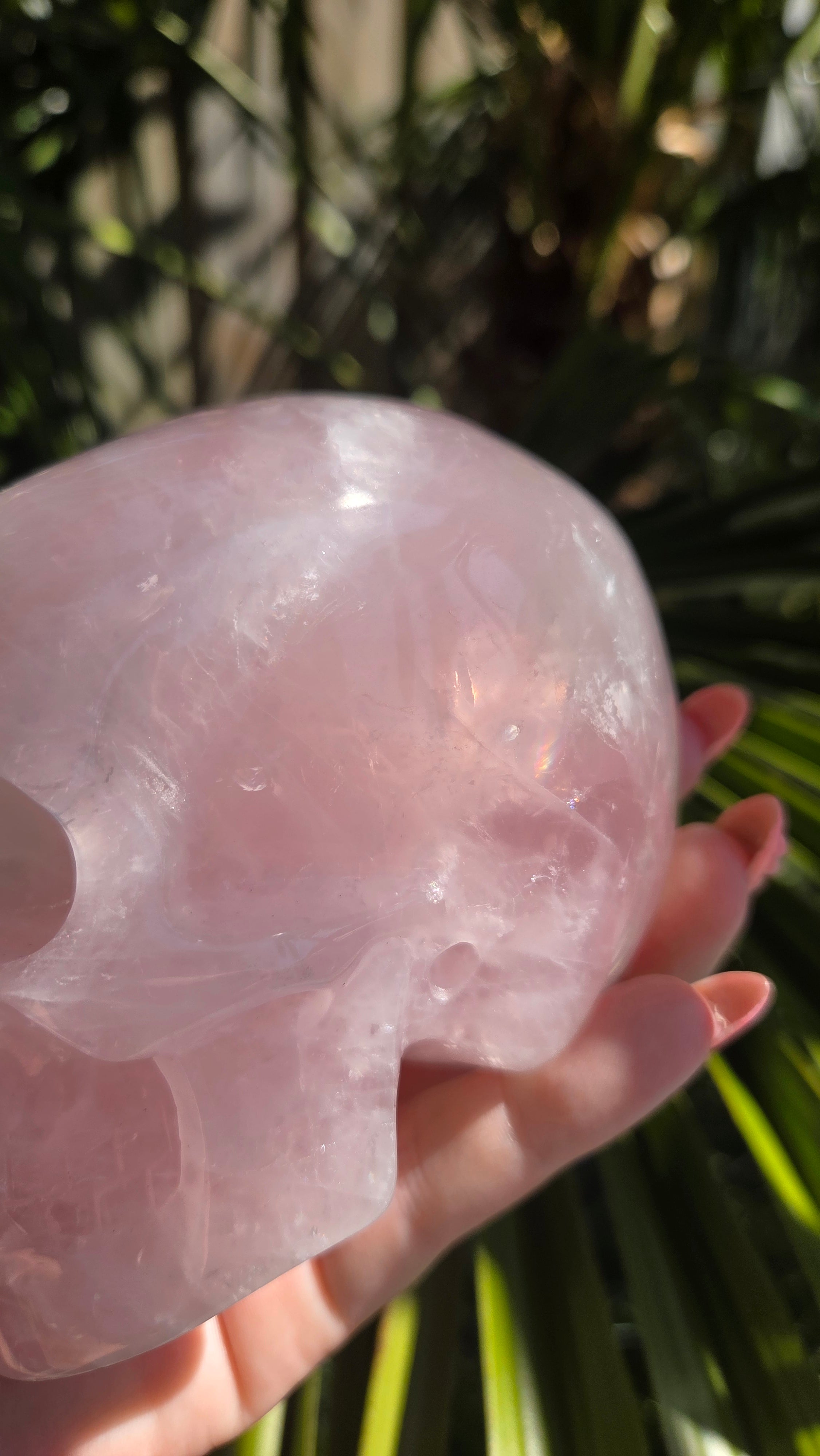 A+ kwaliteit rozenkwarts skull