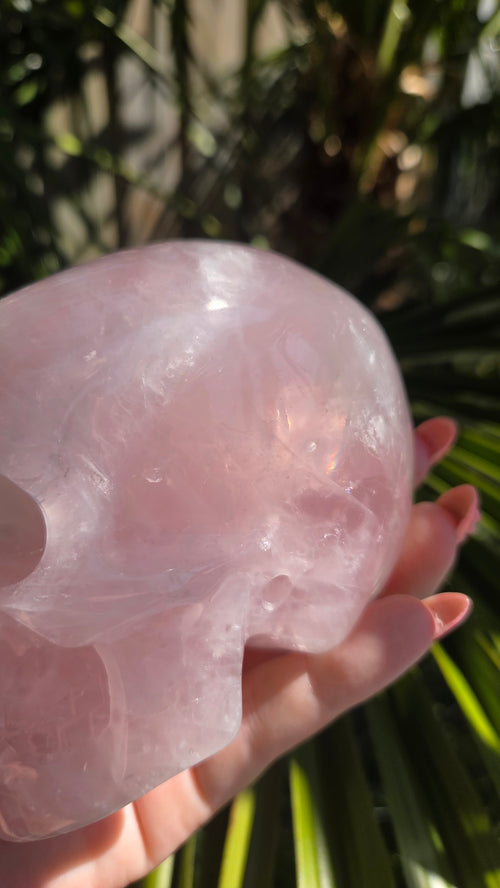 A+ kwaliteit rozenkwarts skull