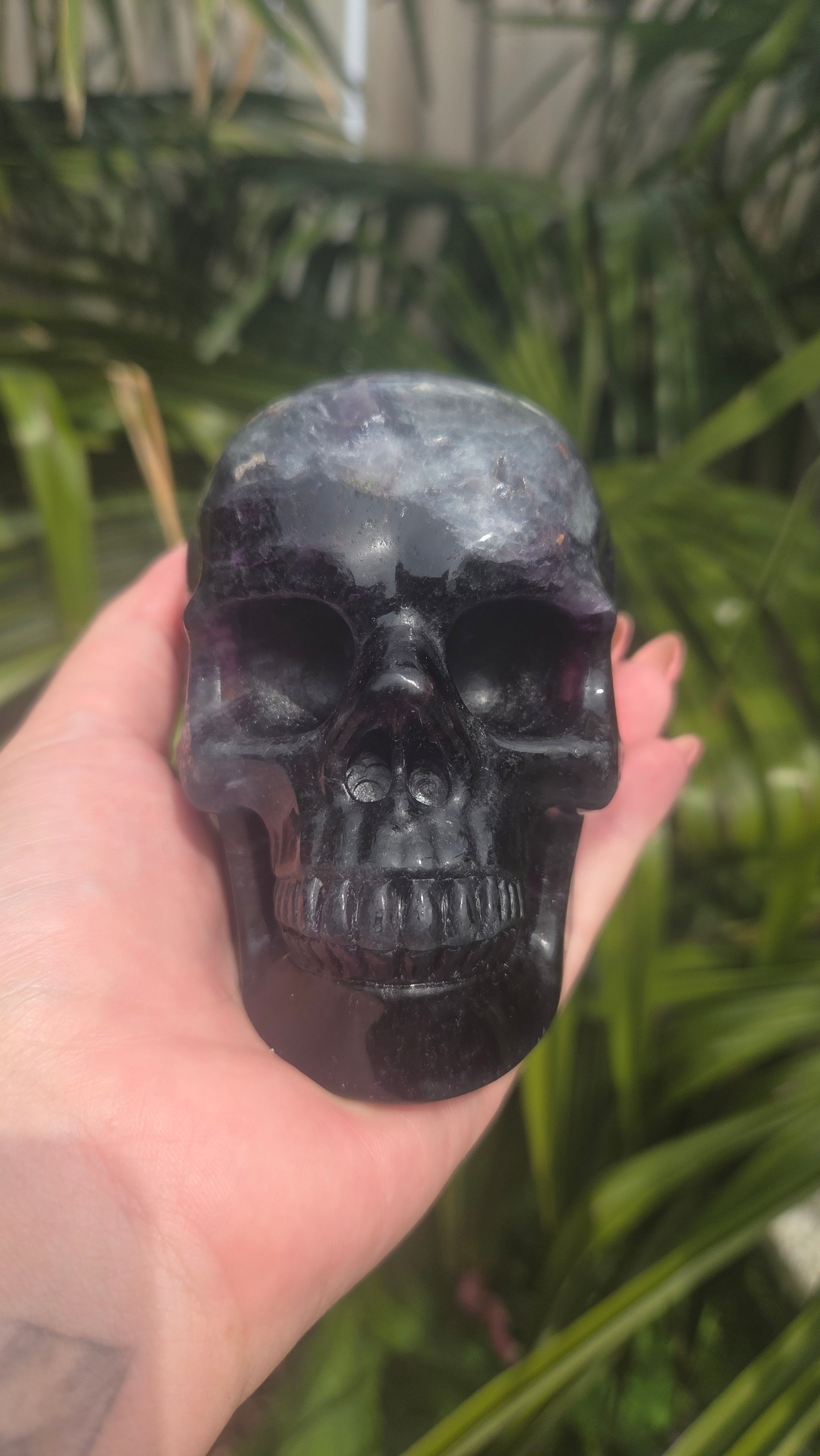 A+ kwaliteit fluoriet skull