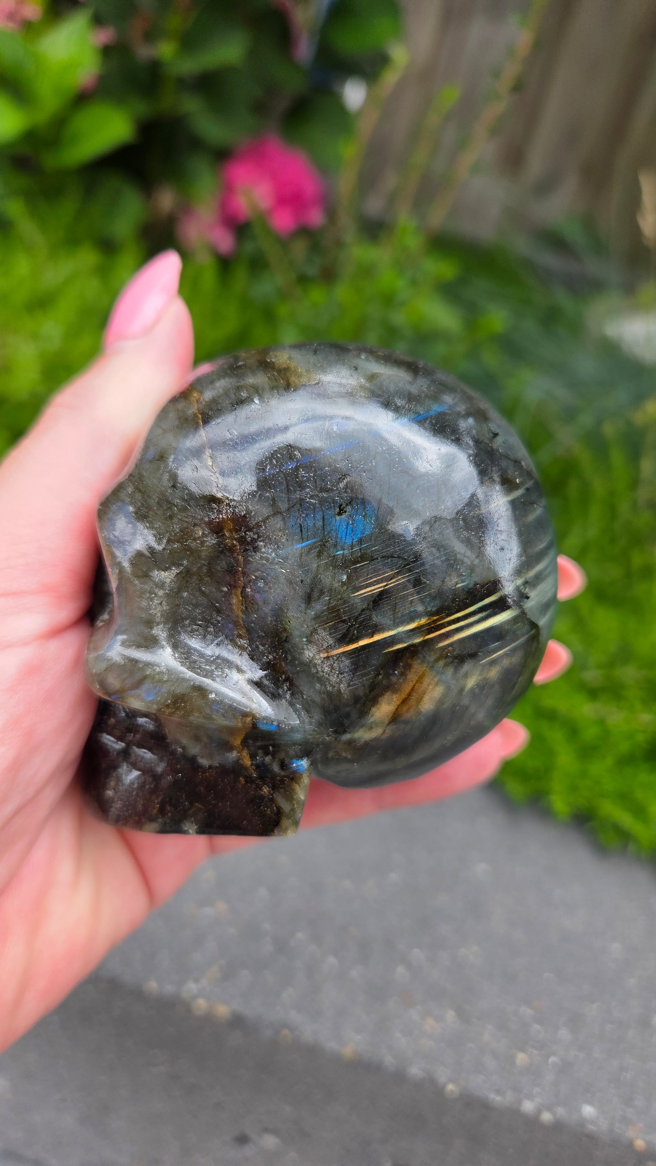 Labradoriet skull