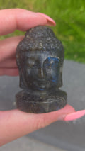 Labradoriet buddha
