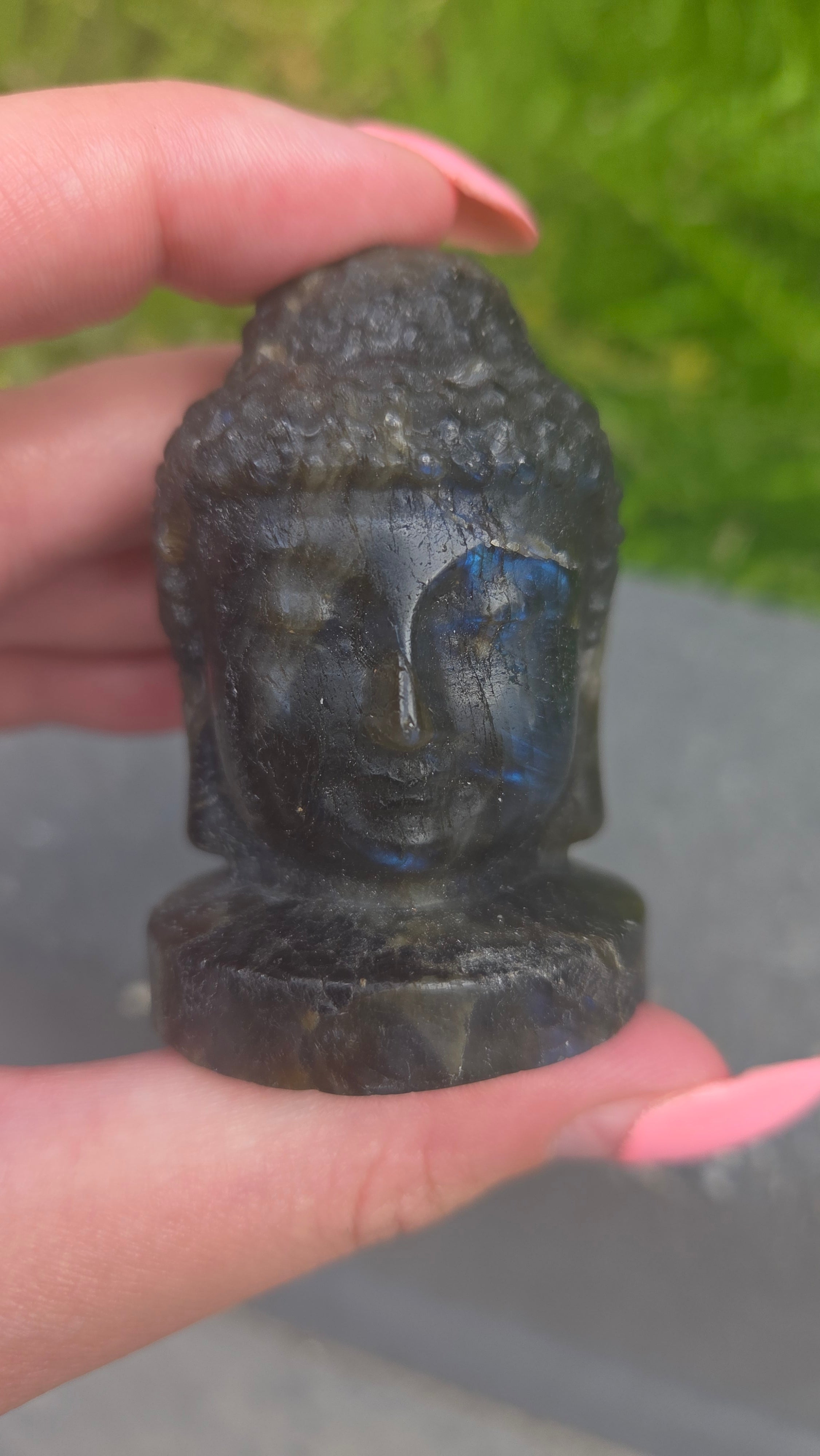 Labradoriet buddha