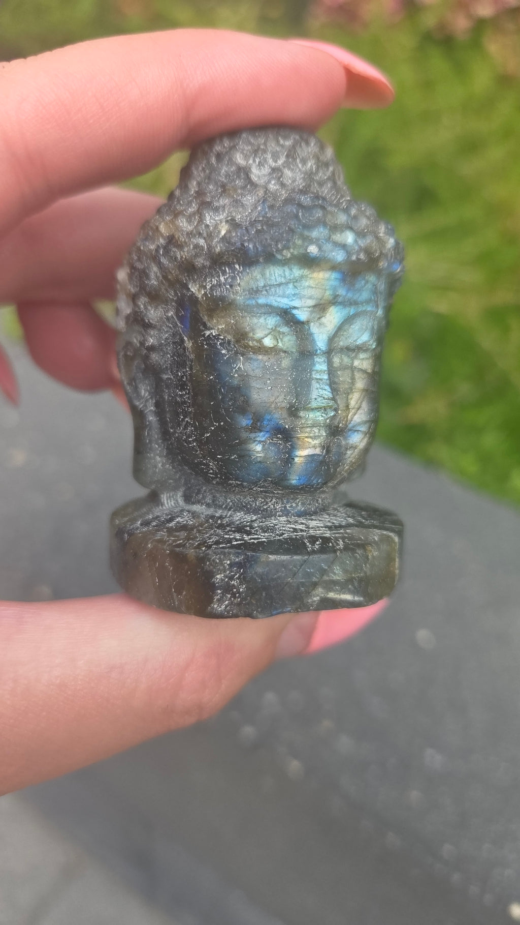 Labradoriet buddha