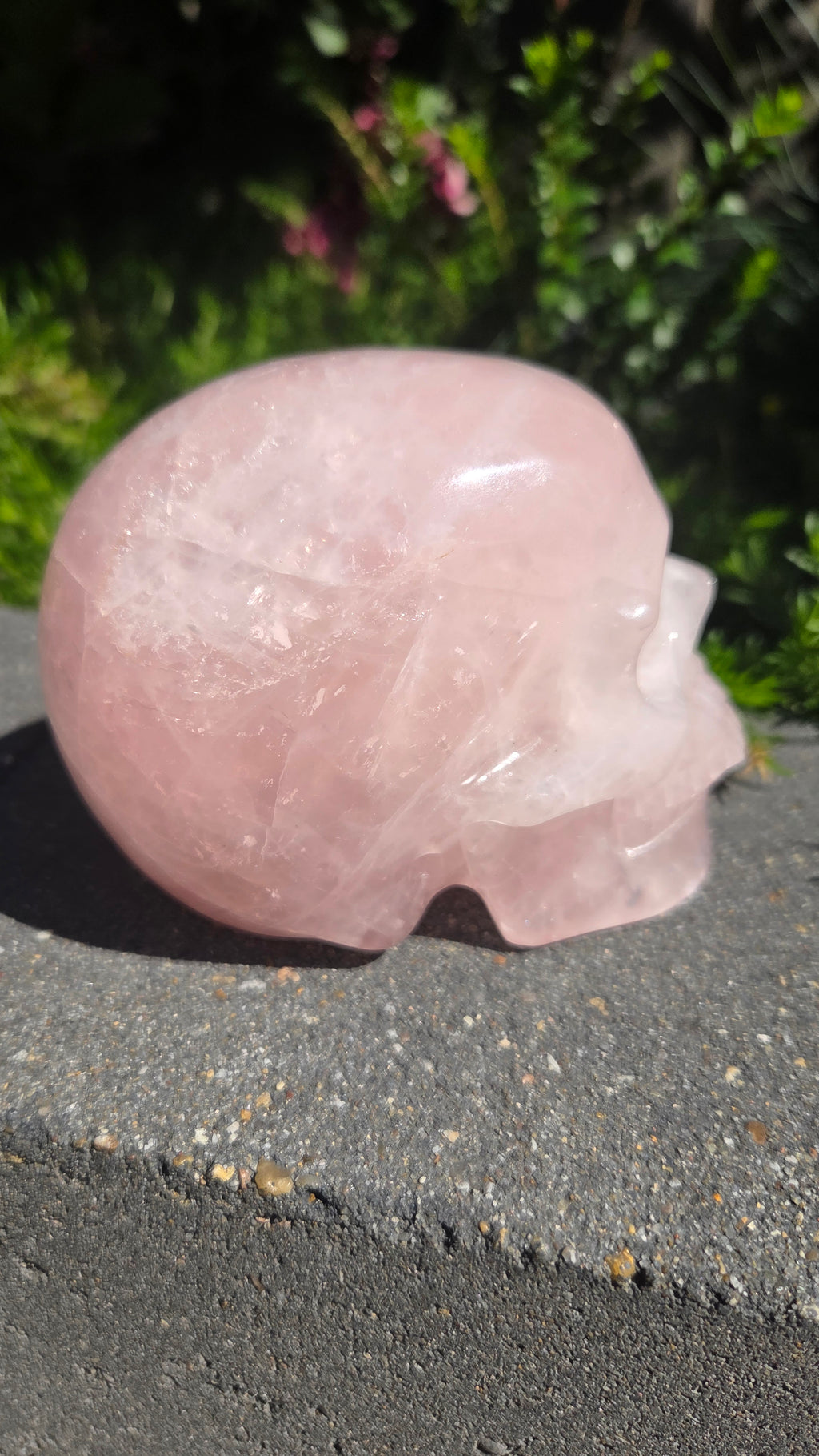 A+ kwaliteit rozenkwarts skull