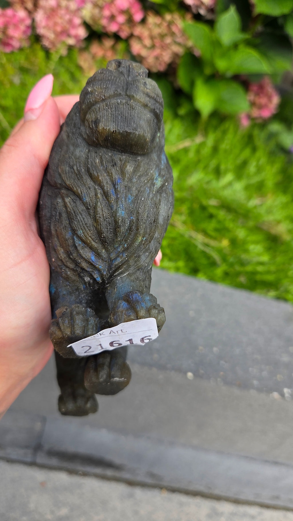 Zeldzame labradoriet carving leeuw
