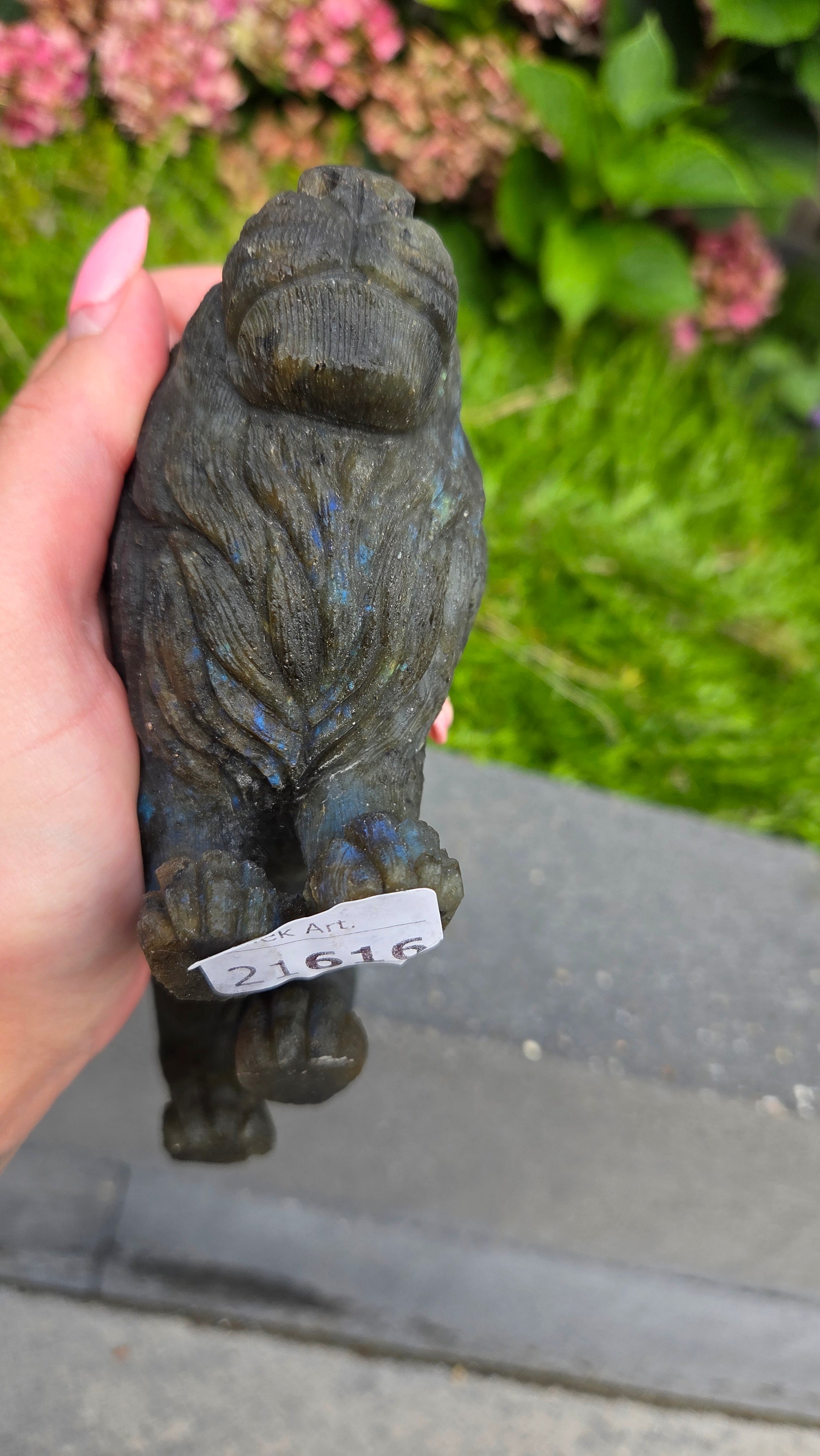 Zeldzame labradoriet carving leeuw