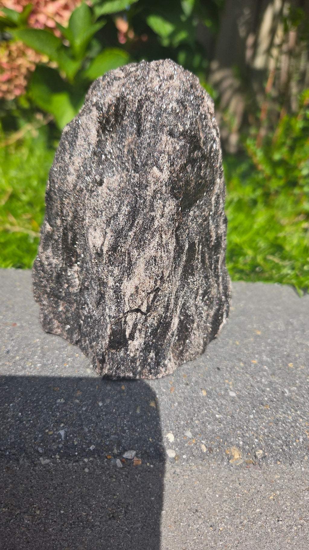 Zwarte mica