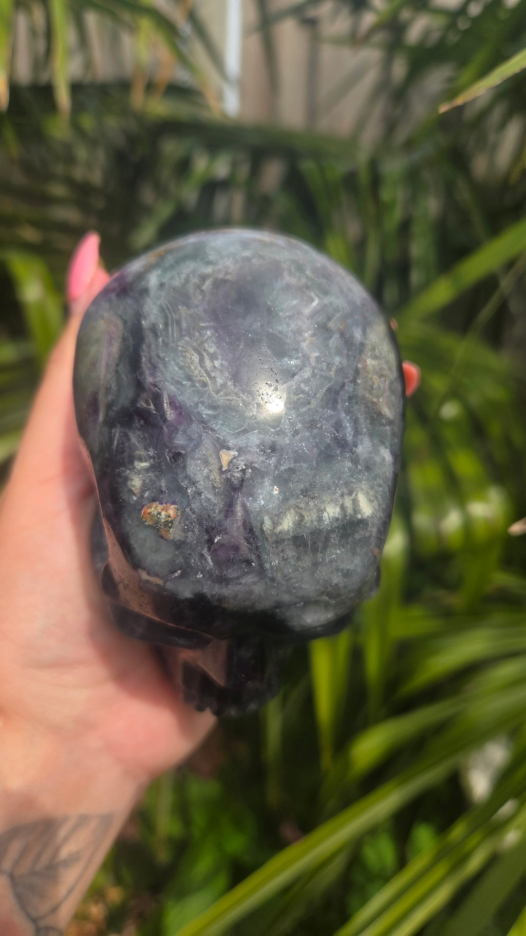 A+ kwaliteit fluoriet skull