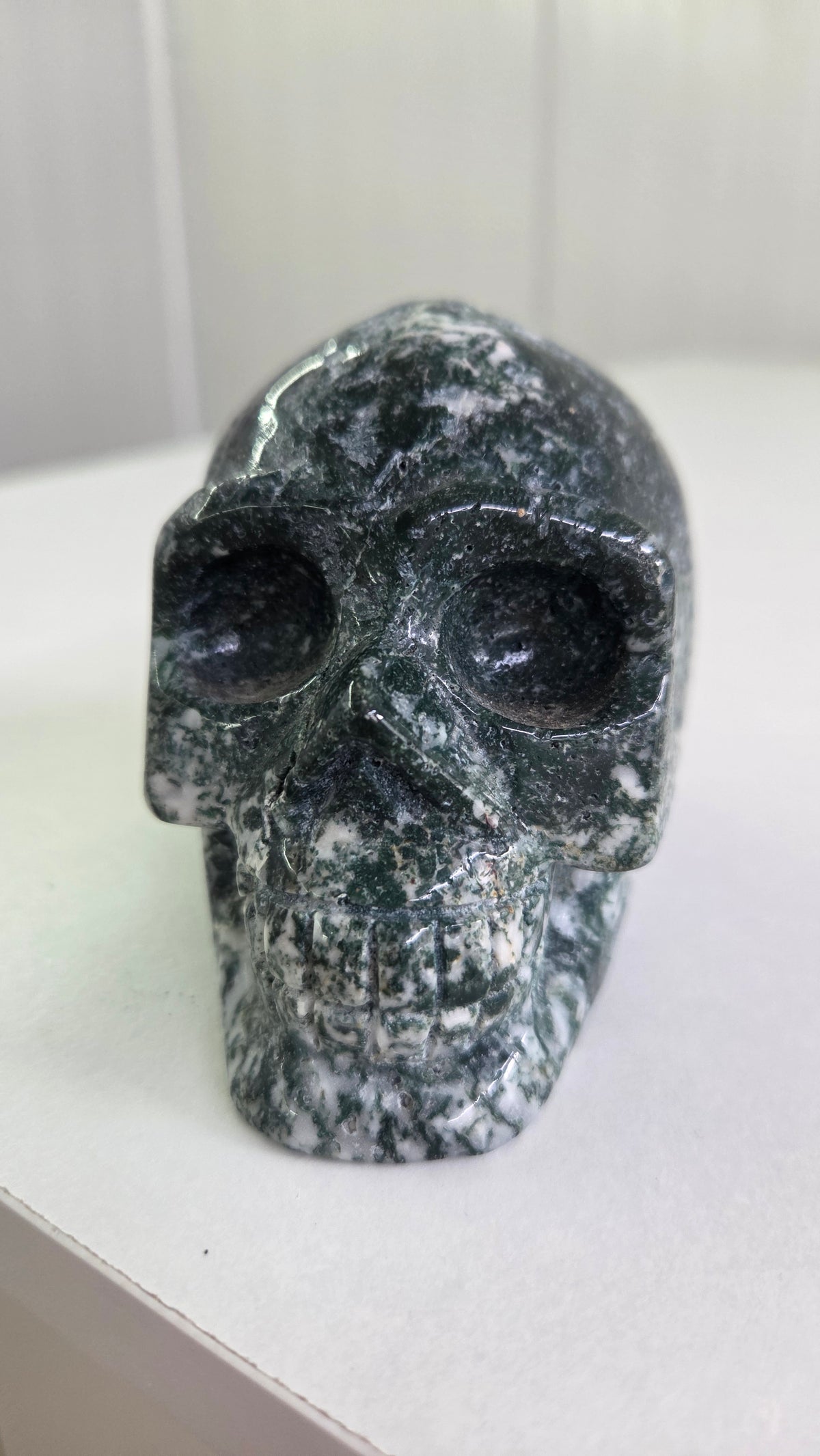 Mosagaat skull