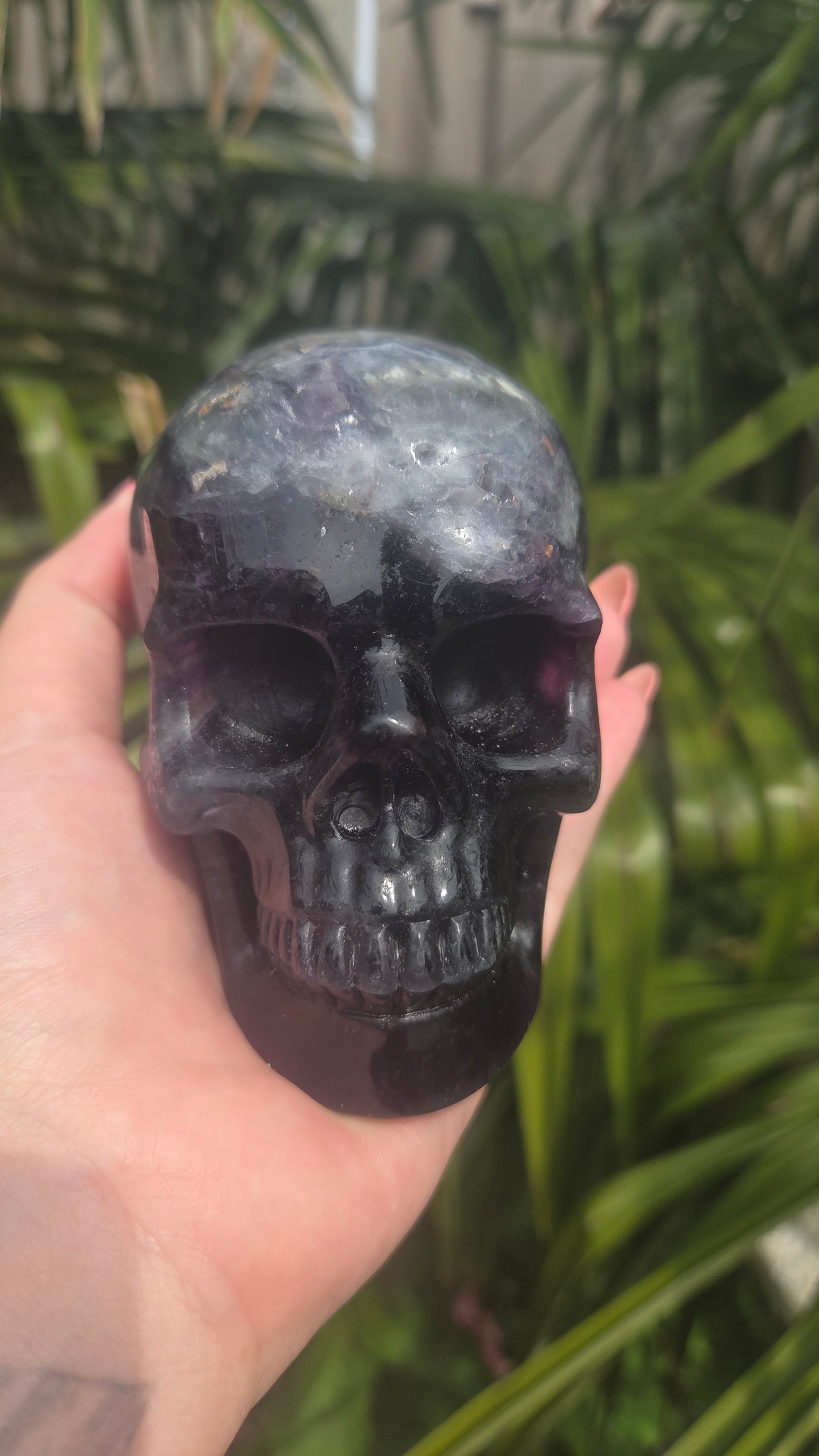 A+ kwaliteit fluoriet skull