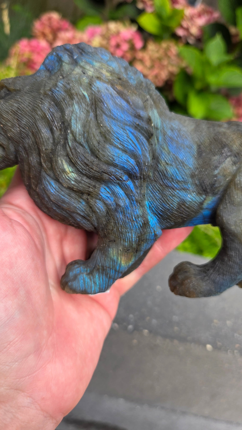 Zeldzame labradoriet carving leeuw