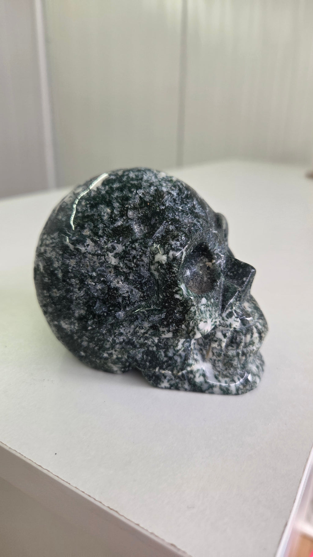 Mosagaat skull