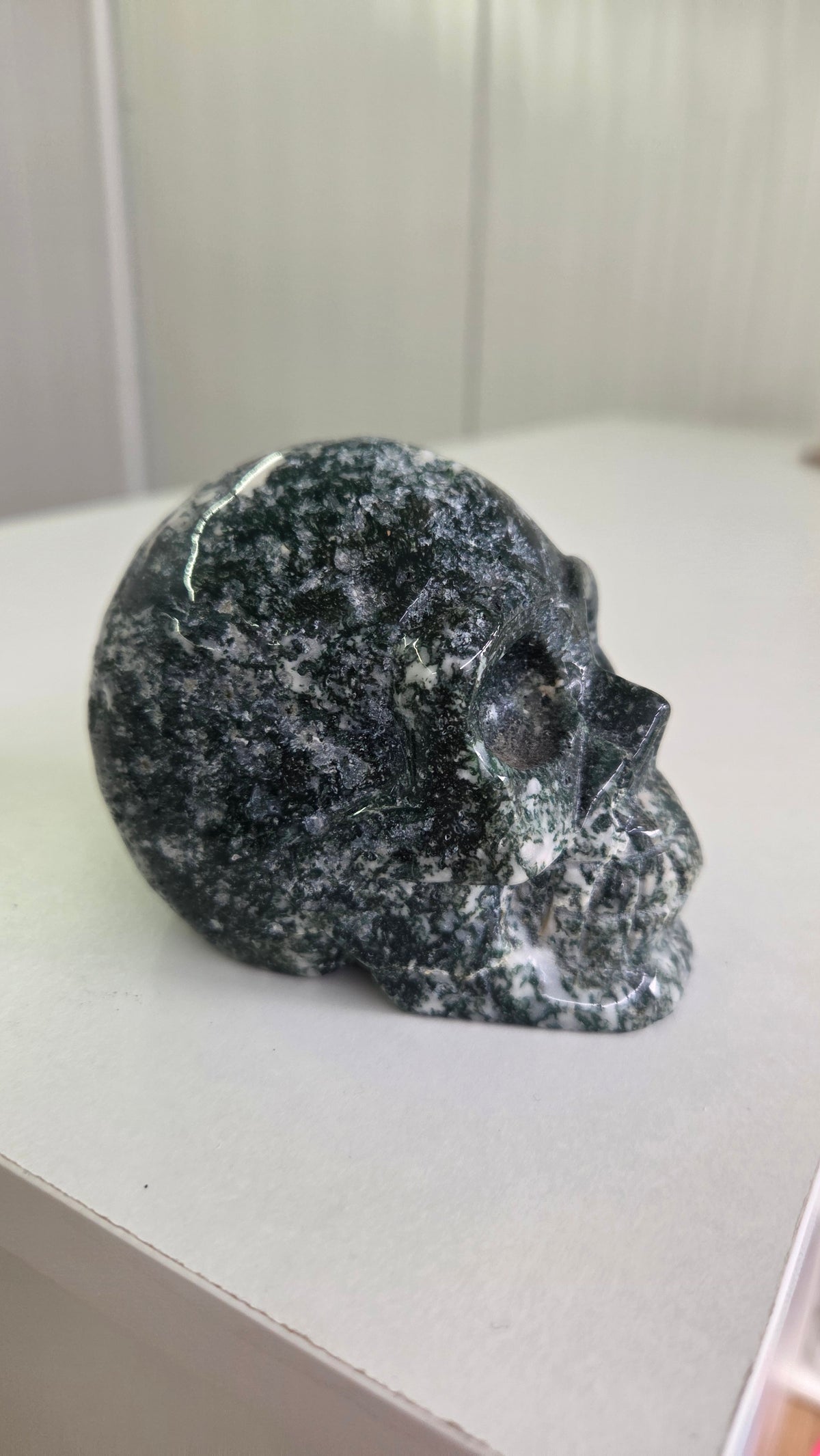 Mosagaat skull