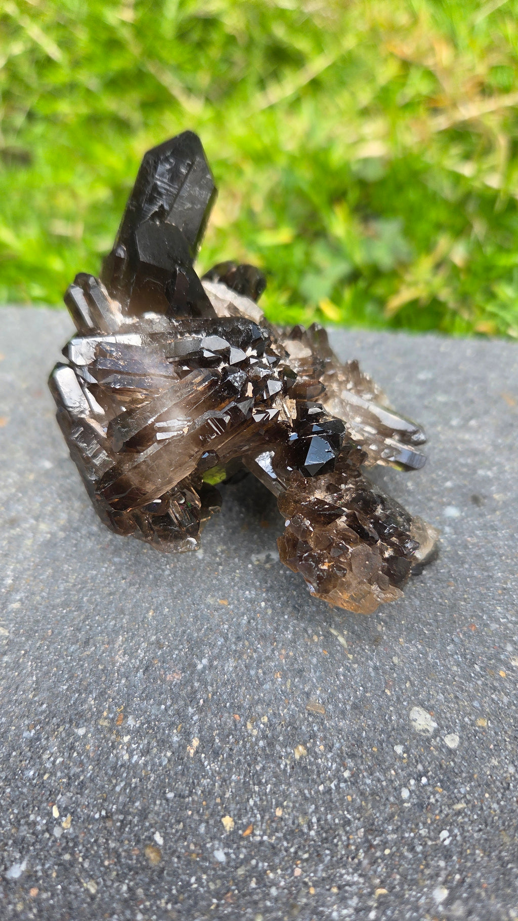 Unieke rookkwarts cluster