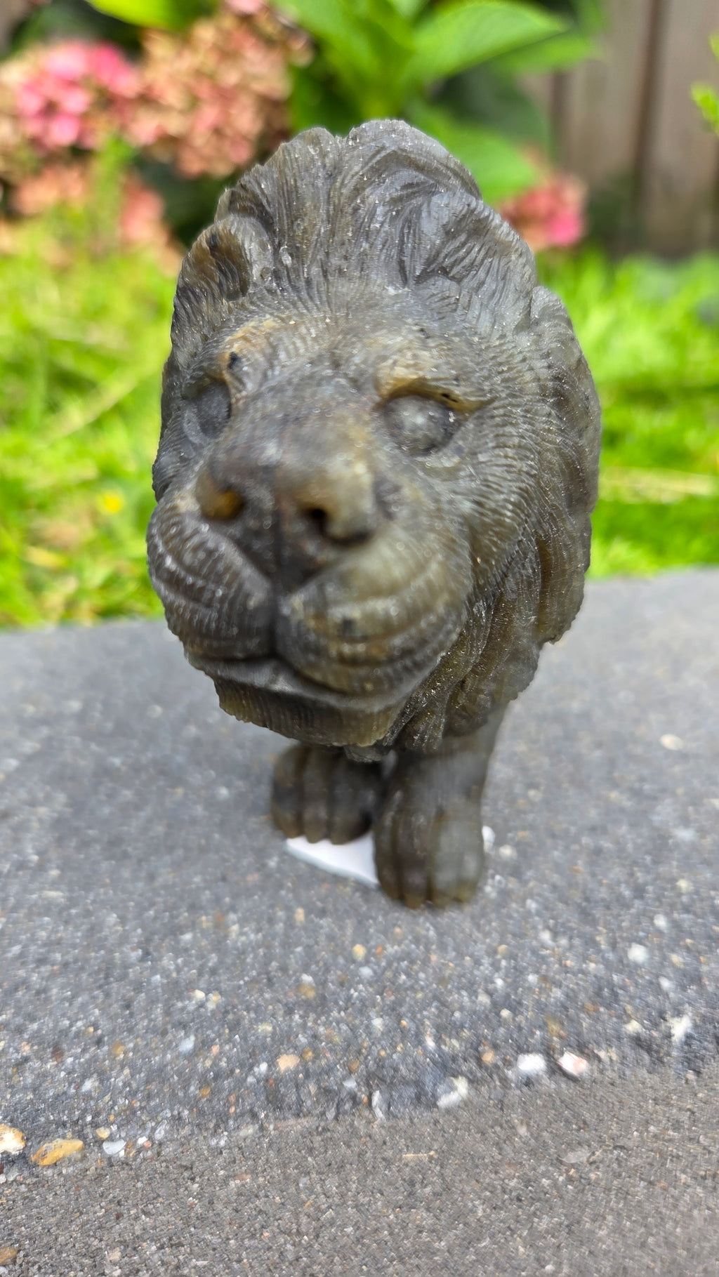 Zeldzame labradoriet carving leeuw