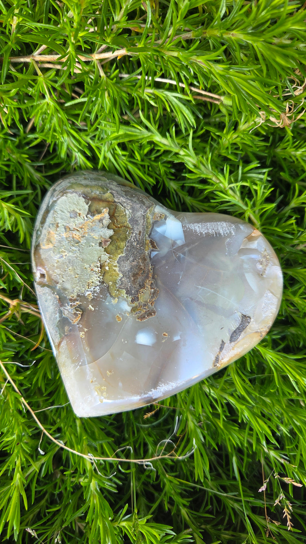 Angel aura hart