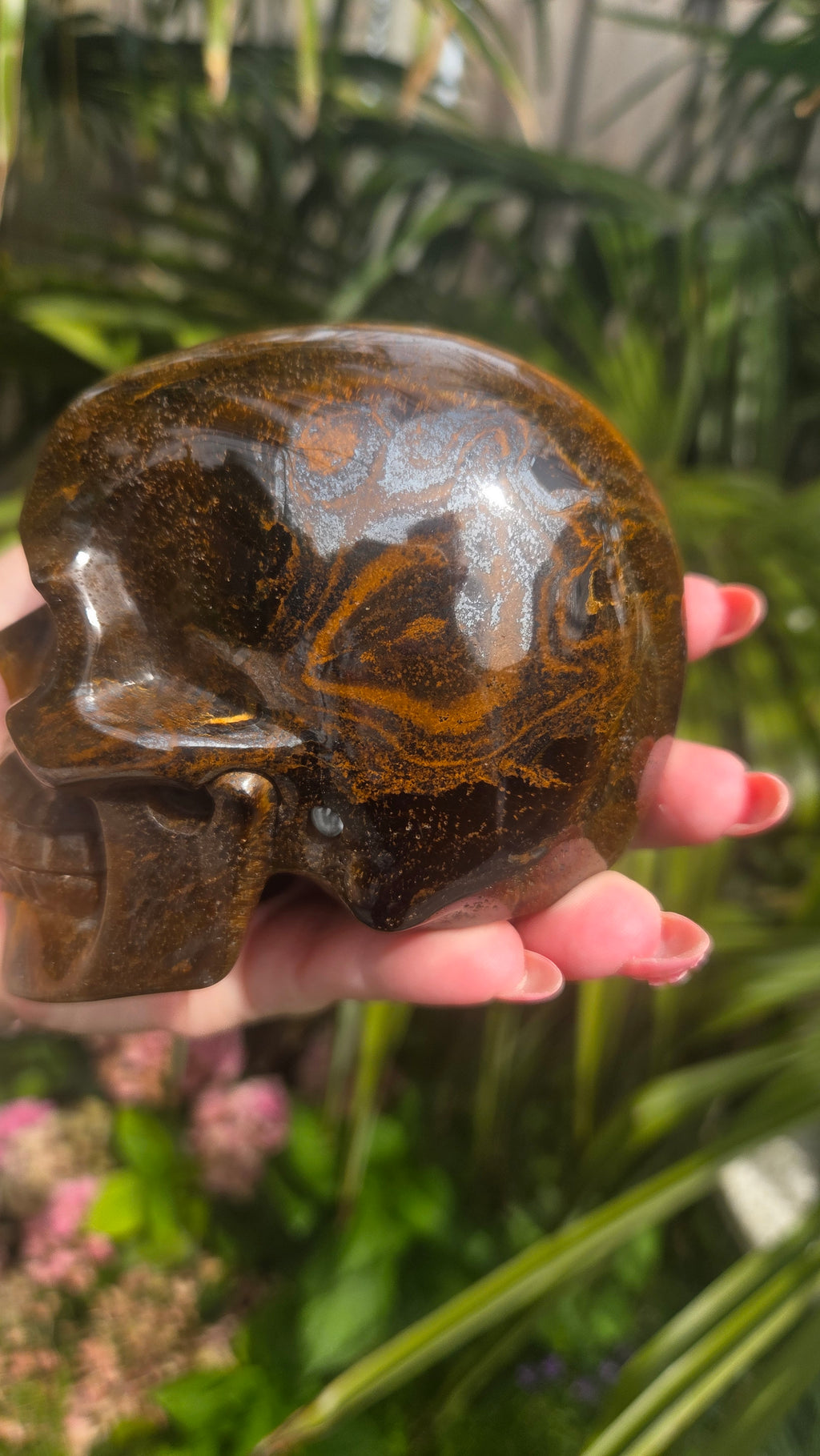 A++ kwaliteit tijgeroog skull