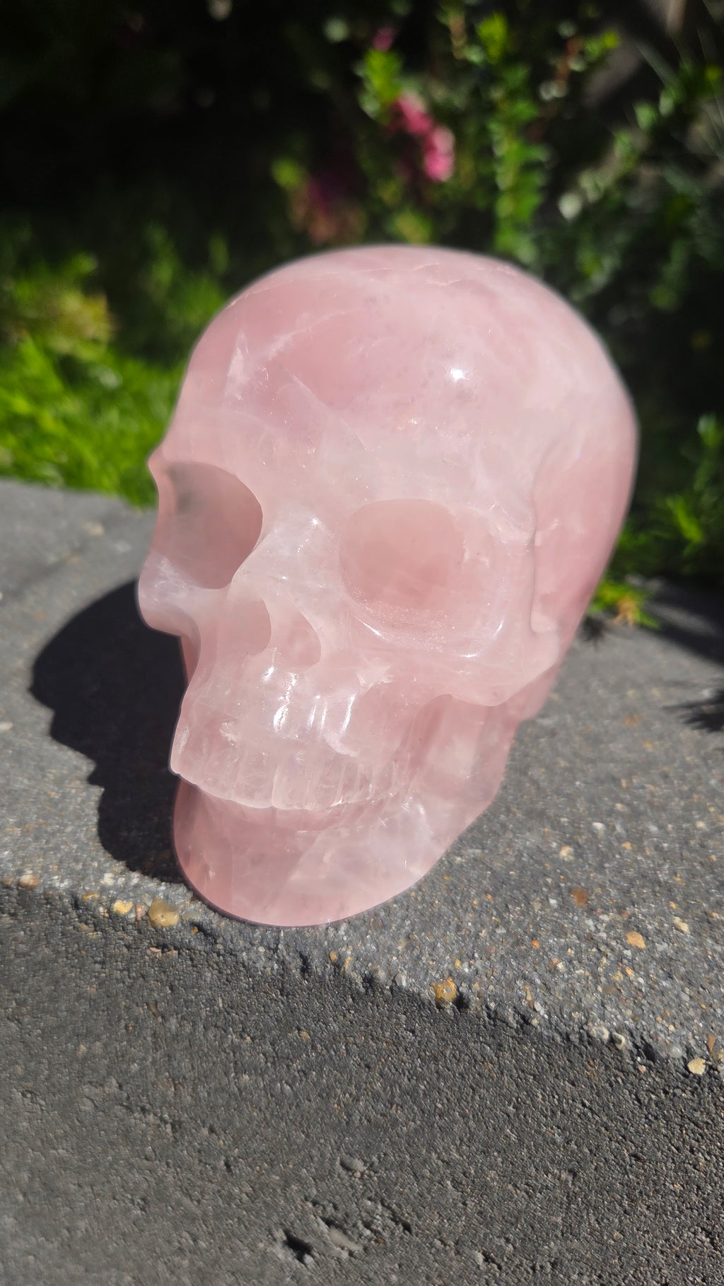A+ kwaliteit rozenkwarts skull