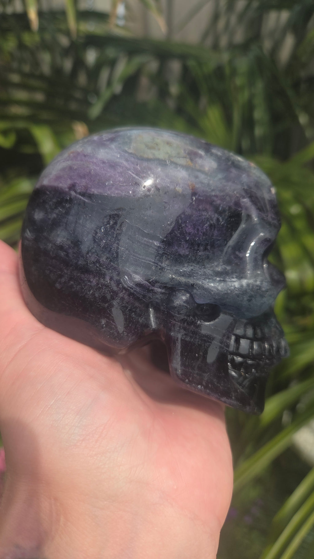 A+ kwaliteit fluoriet skull