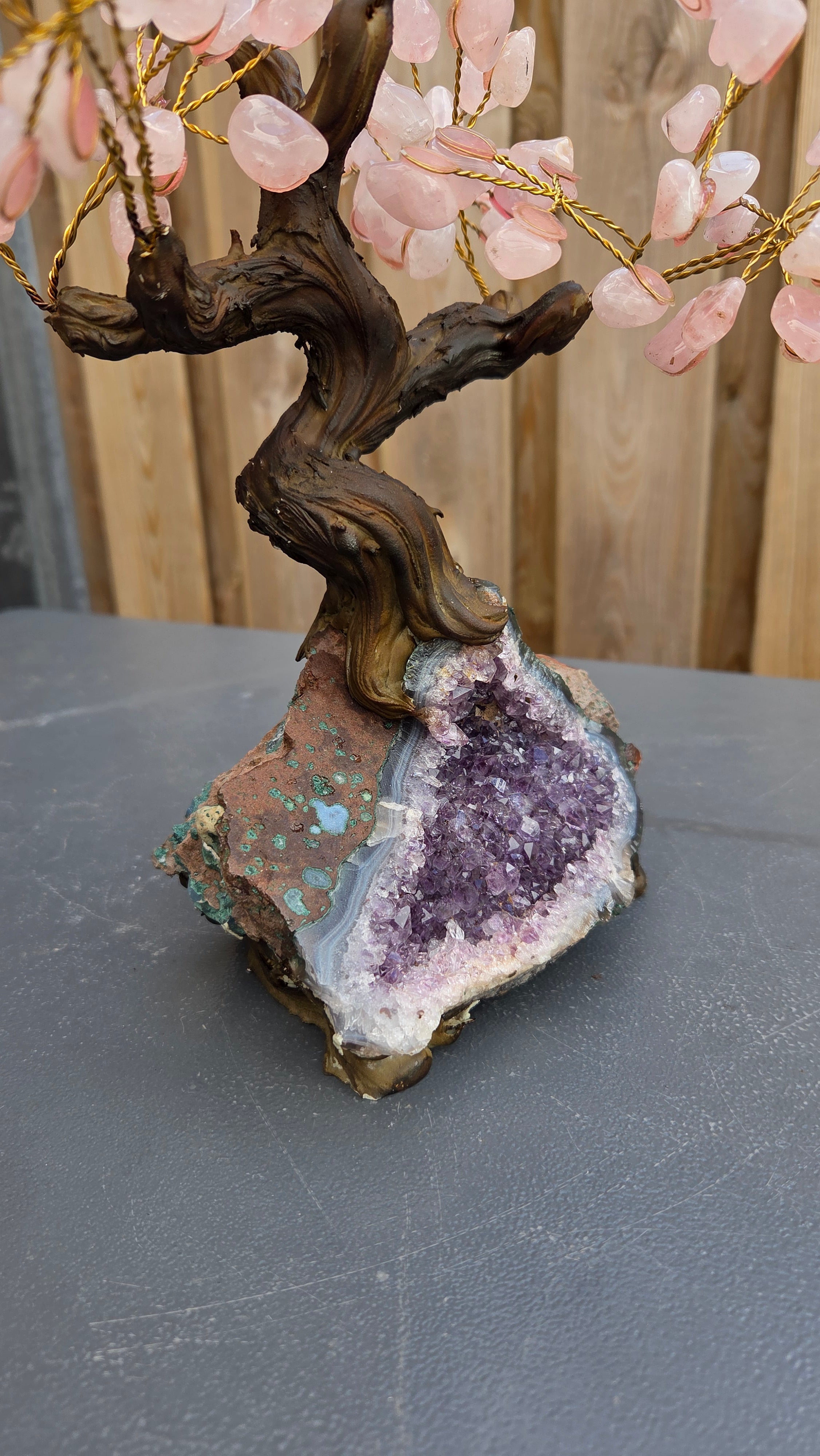 Rozenkwarts boom