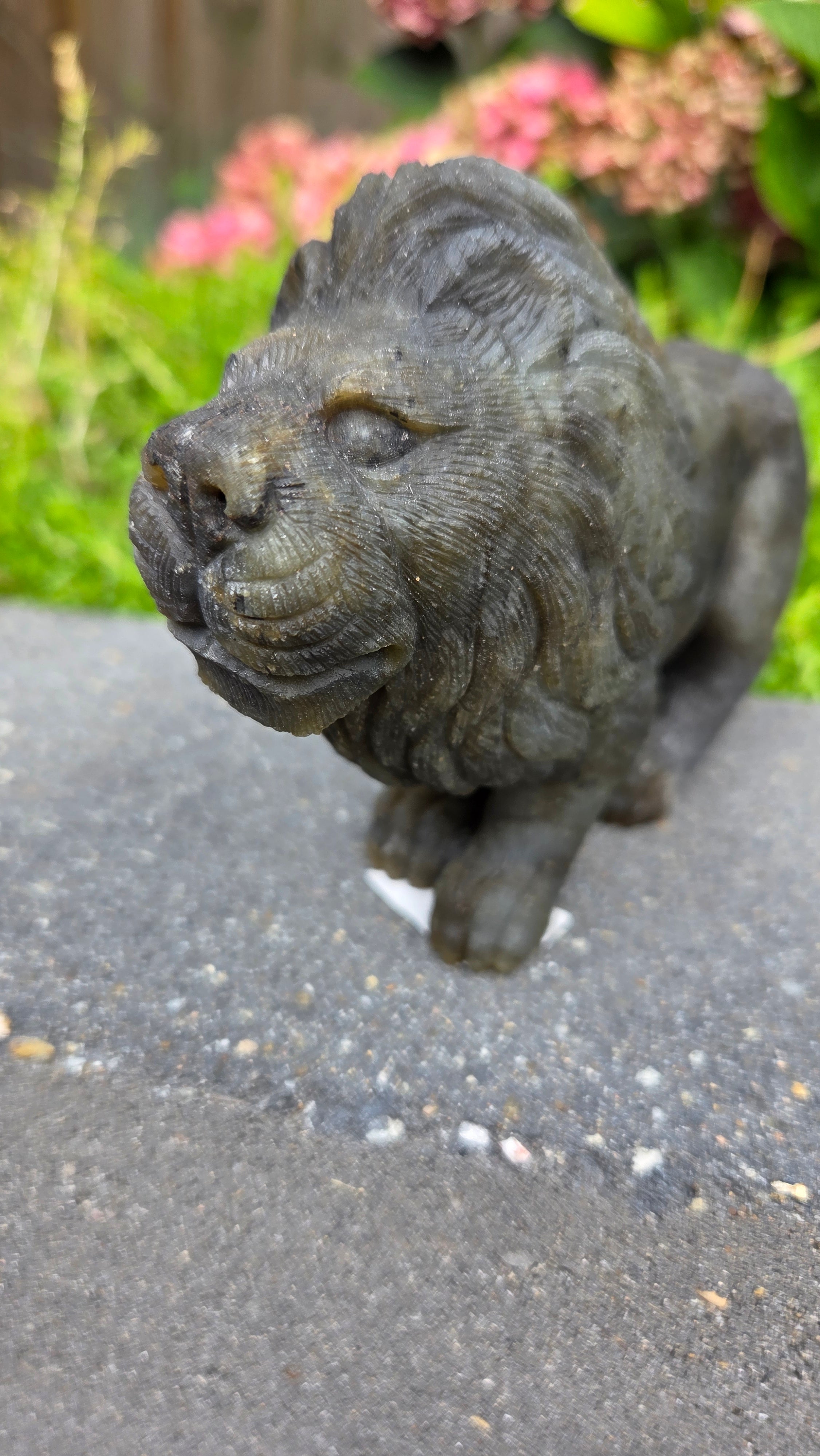 Zeldzame labradoriet carving leeuw