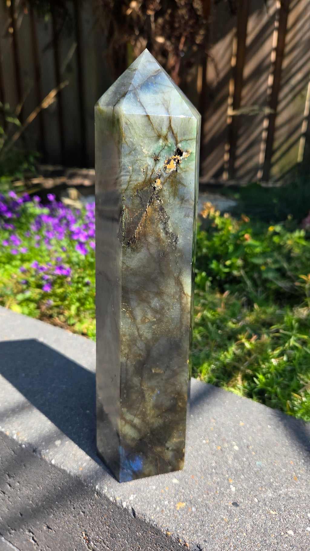XL labradoriet toren