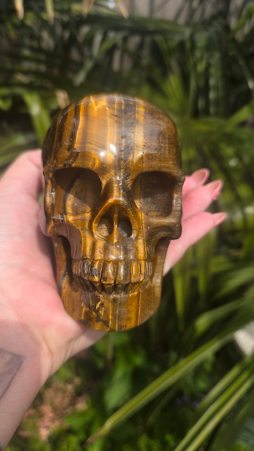 A++ kwaliteit tijgeroog skull