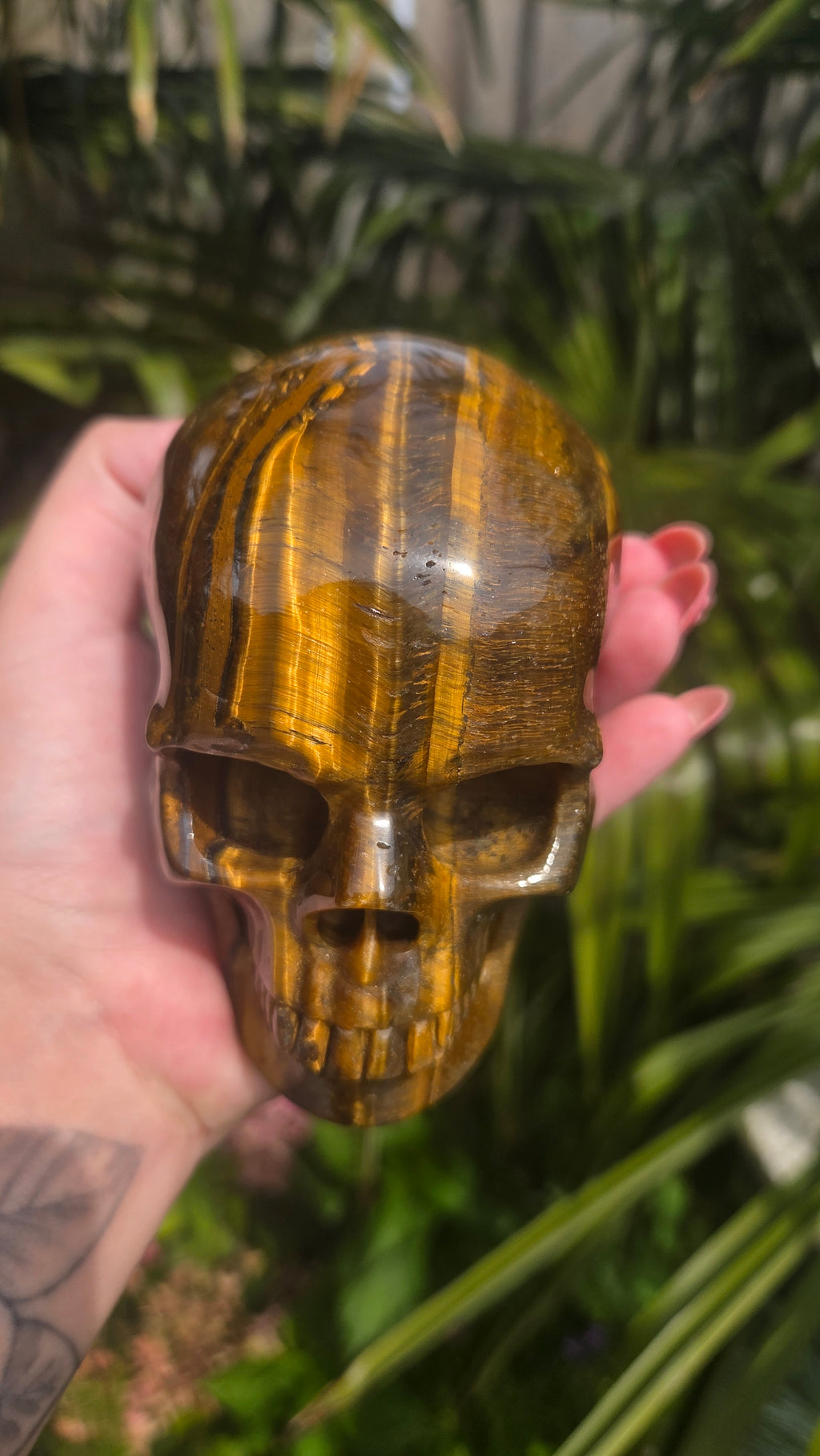 A++ kwaliteit tijgeroog skull