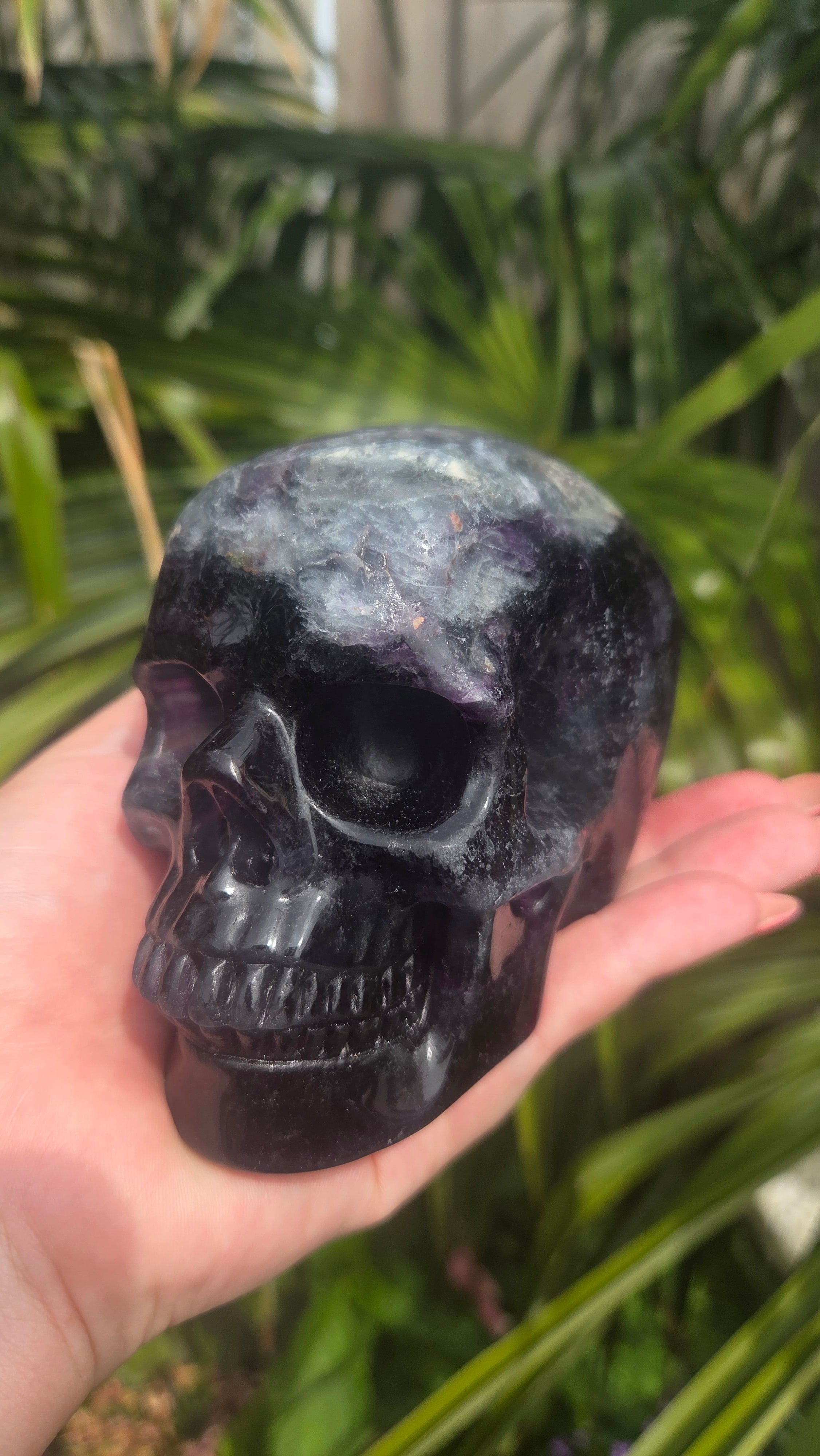 A+ kwaliteit fluoriet skull