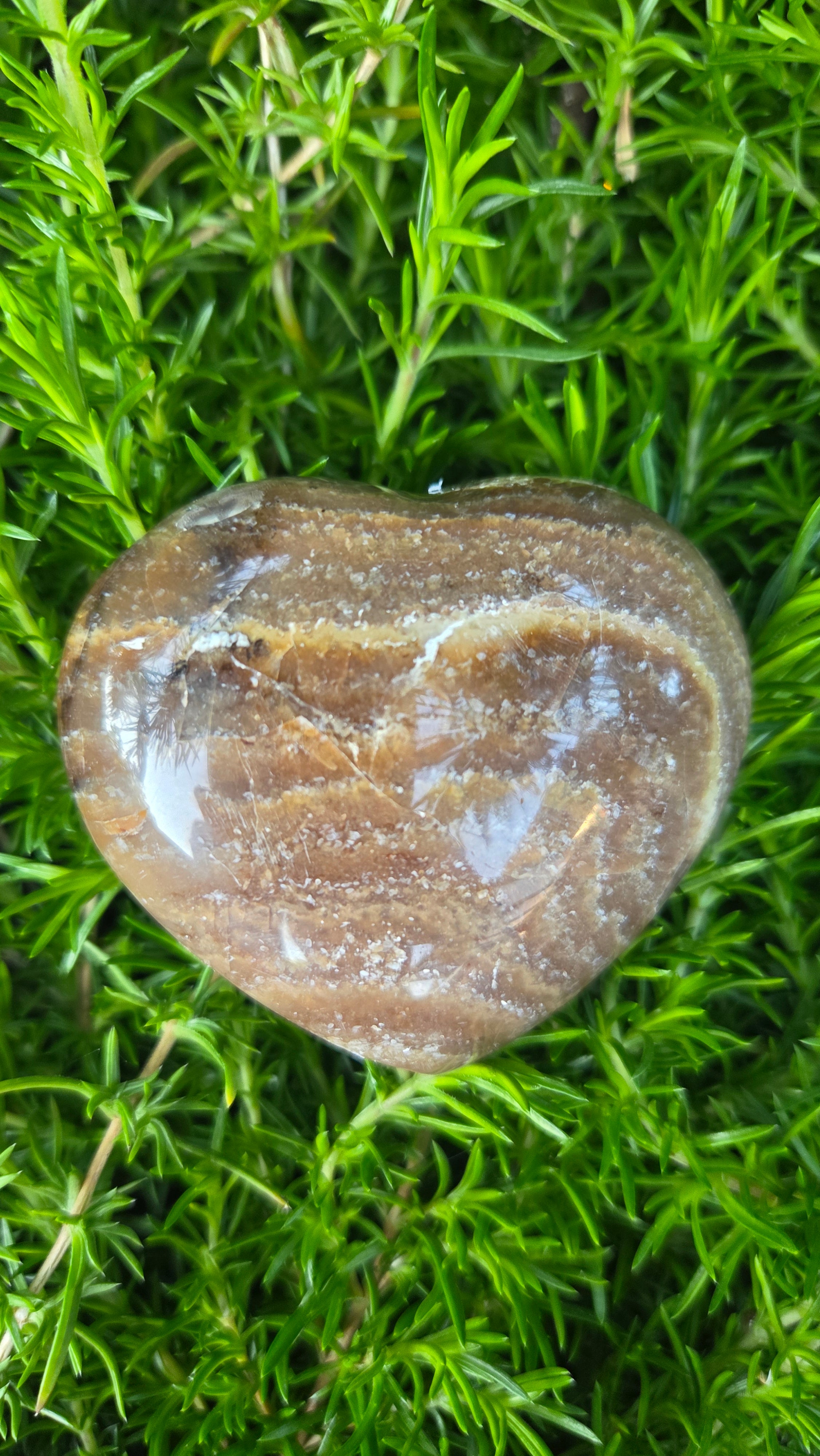 Chocolade calciet hart