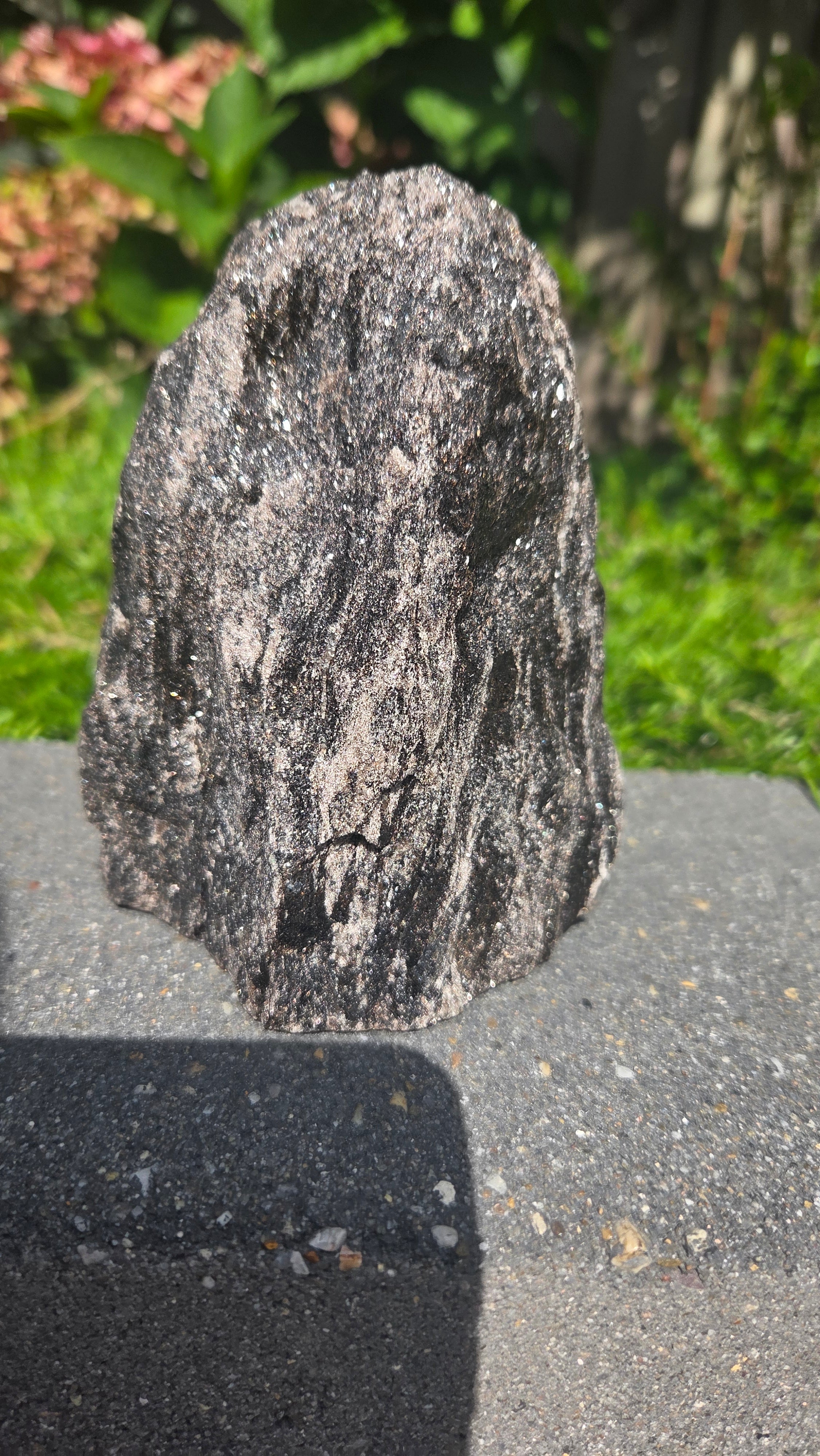 Zwarte mica