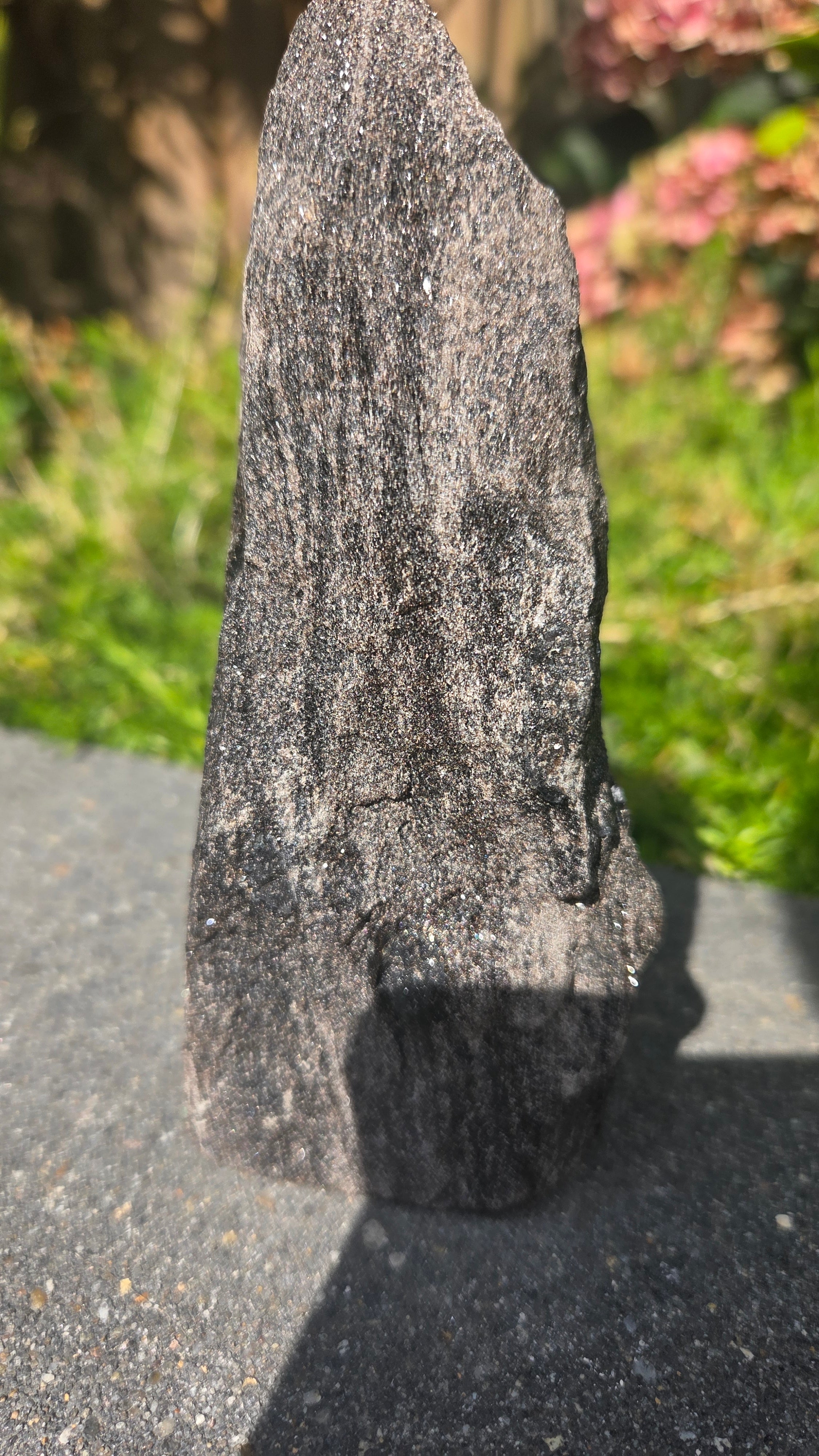 Zwarte mica