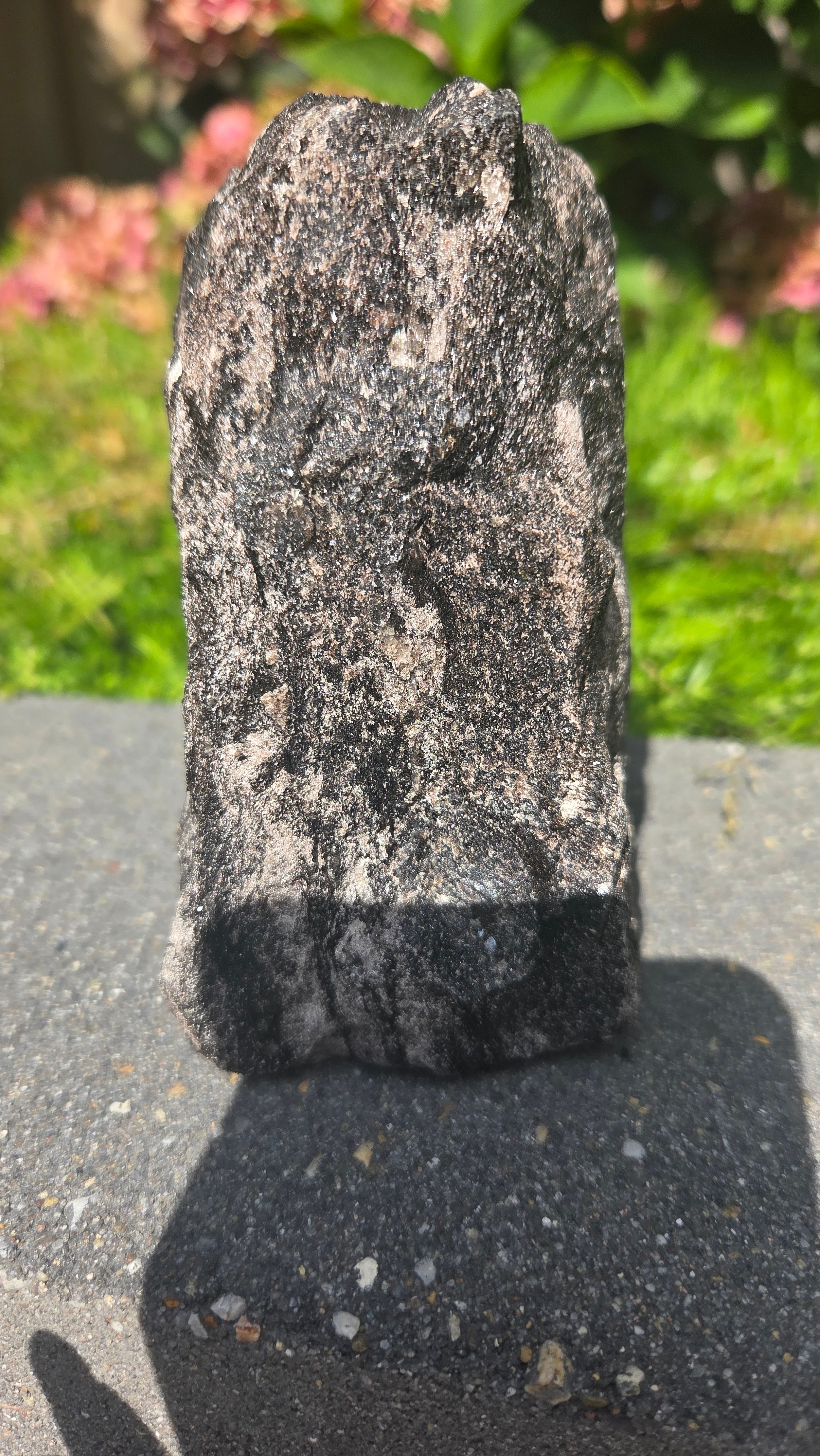Zwarte mica