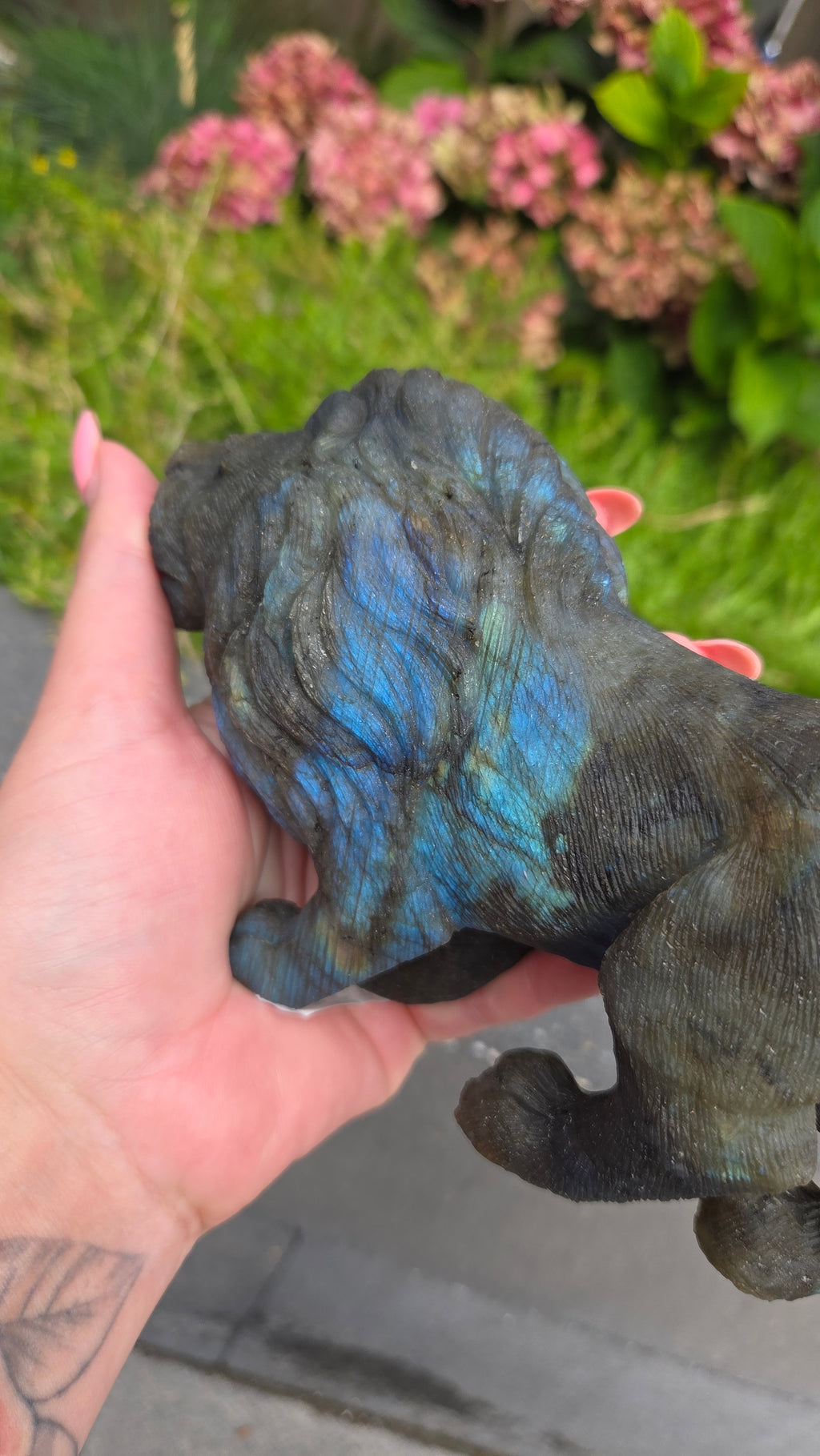 Zeldzame labradoriet carving leeuw