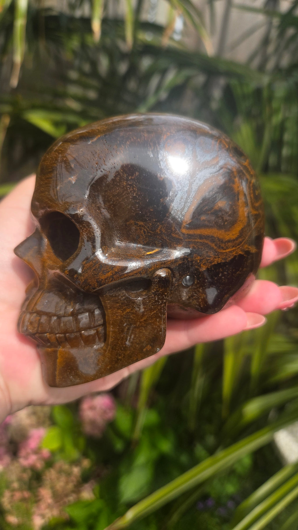 A++ kwaliteit tijgeroog skull